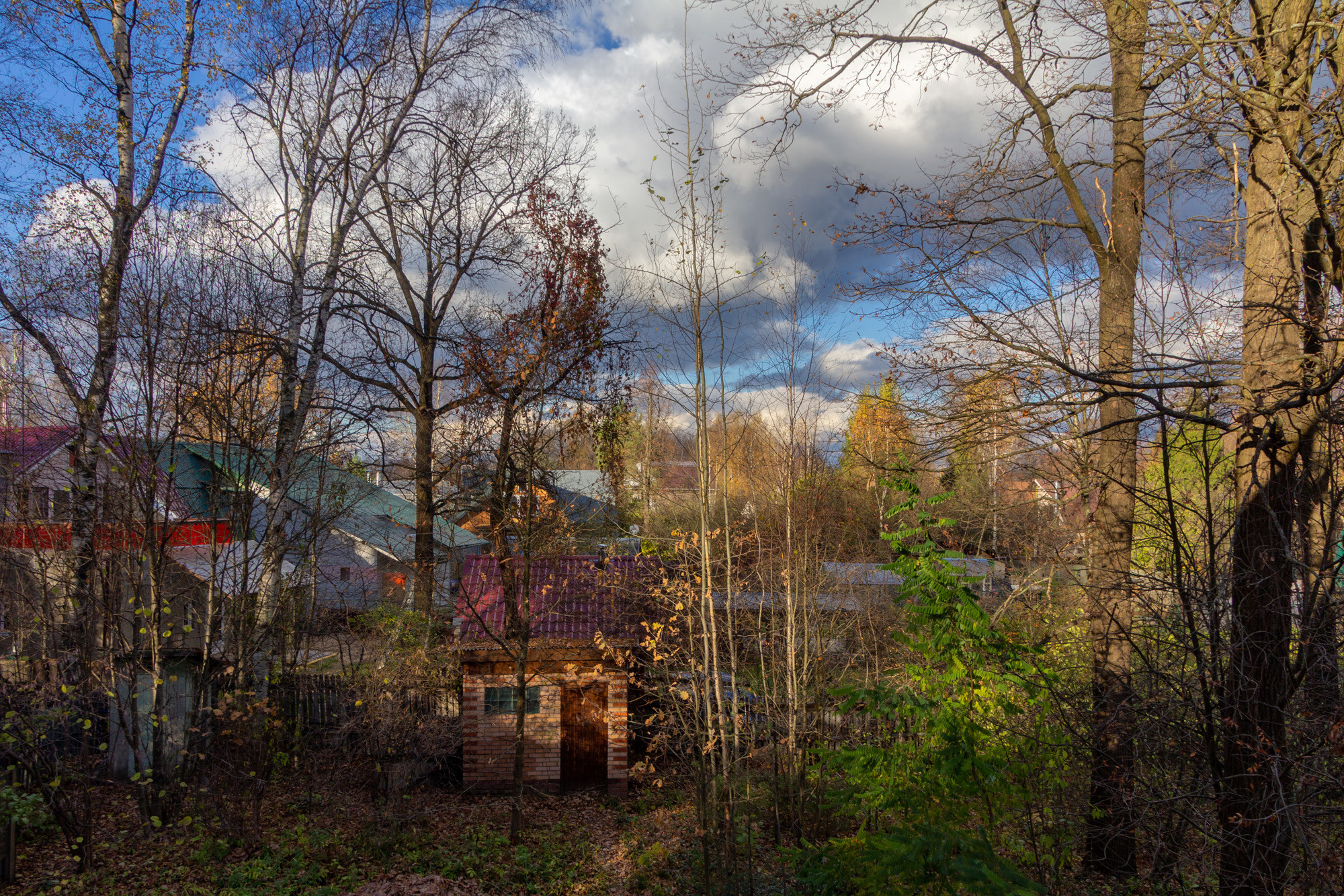 Пейзаж, природа. Портретный фотограф Станислав Жуков | Москва