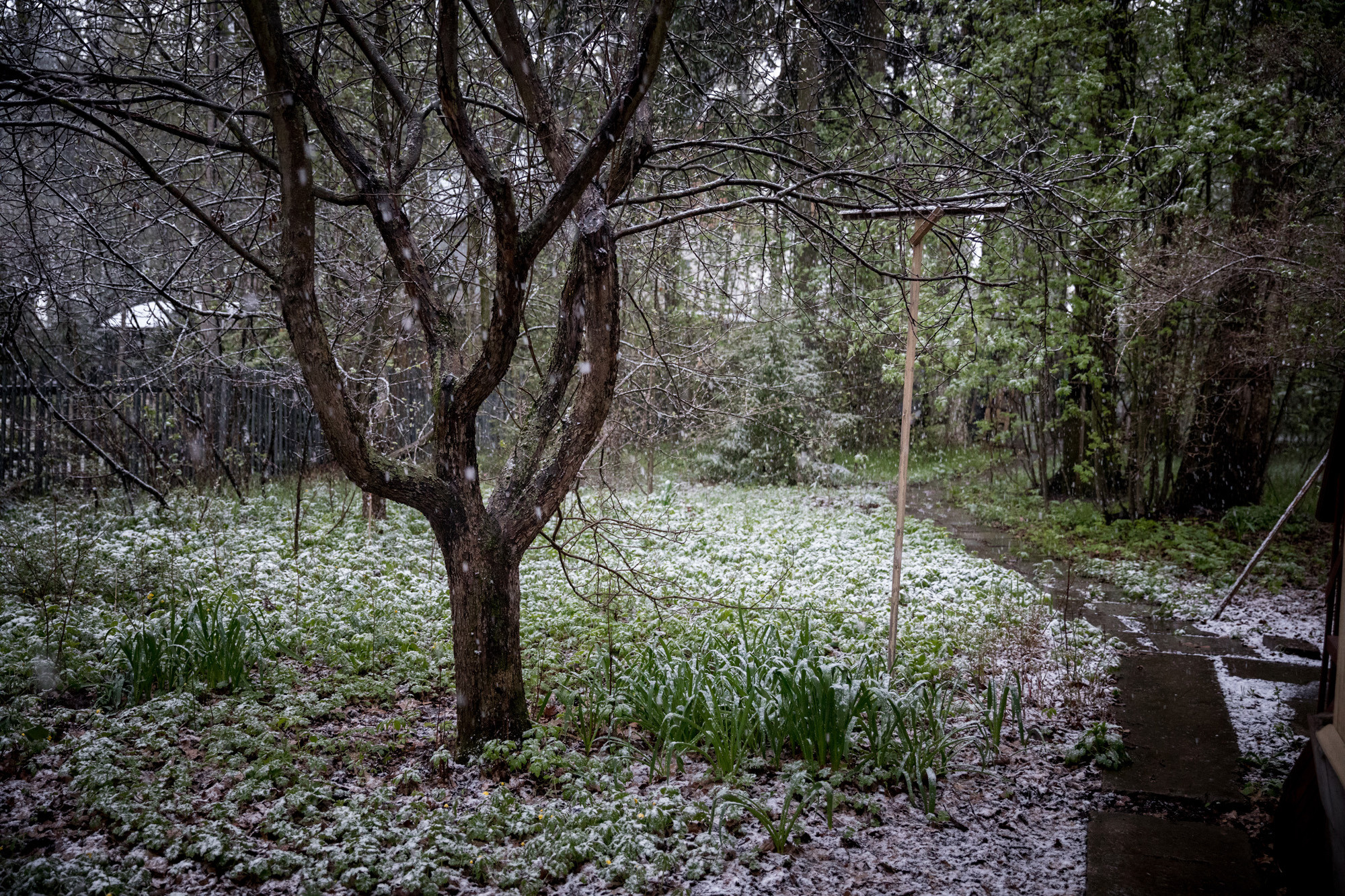 Пейзаж, природа. Портретный фотограф Станислав Жуков | Москва