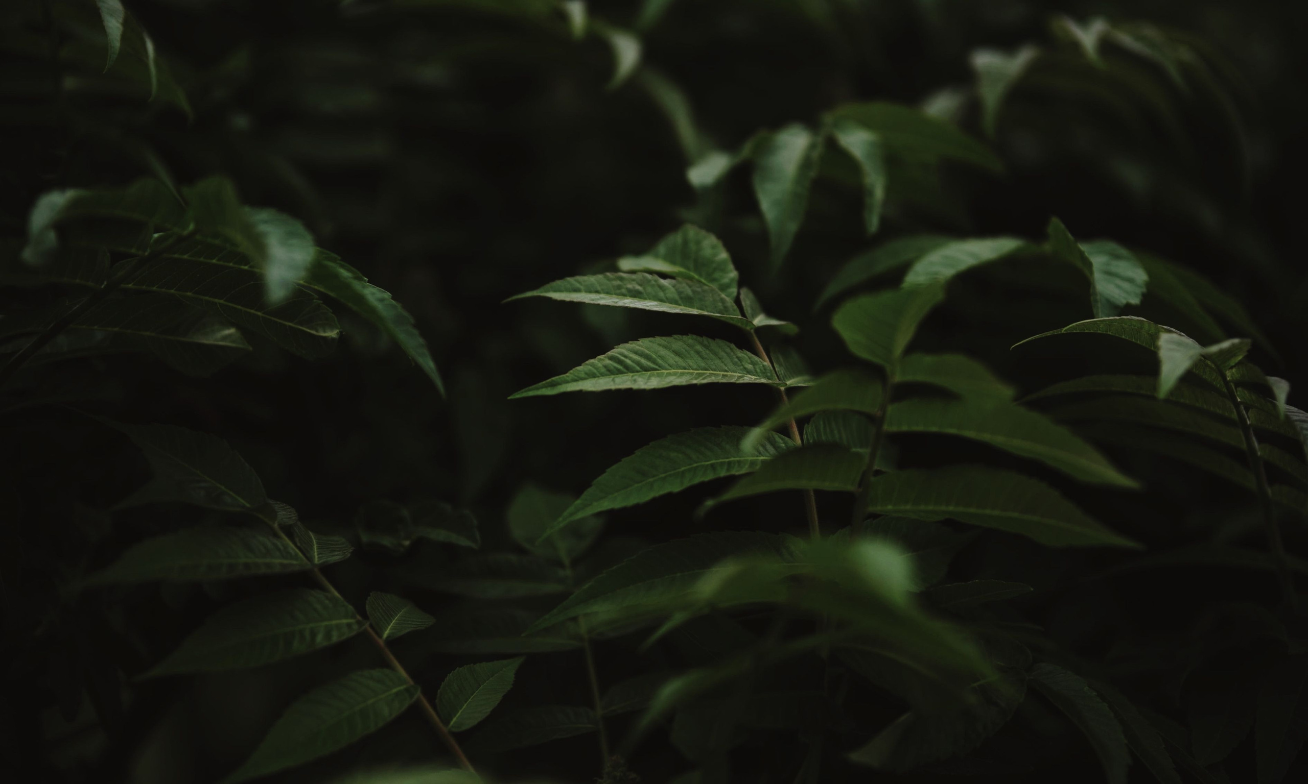 ПРЕСЕТЫ. Фотограф Светлана Анисимова обучение фото видео рилс