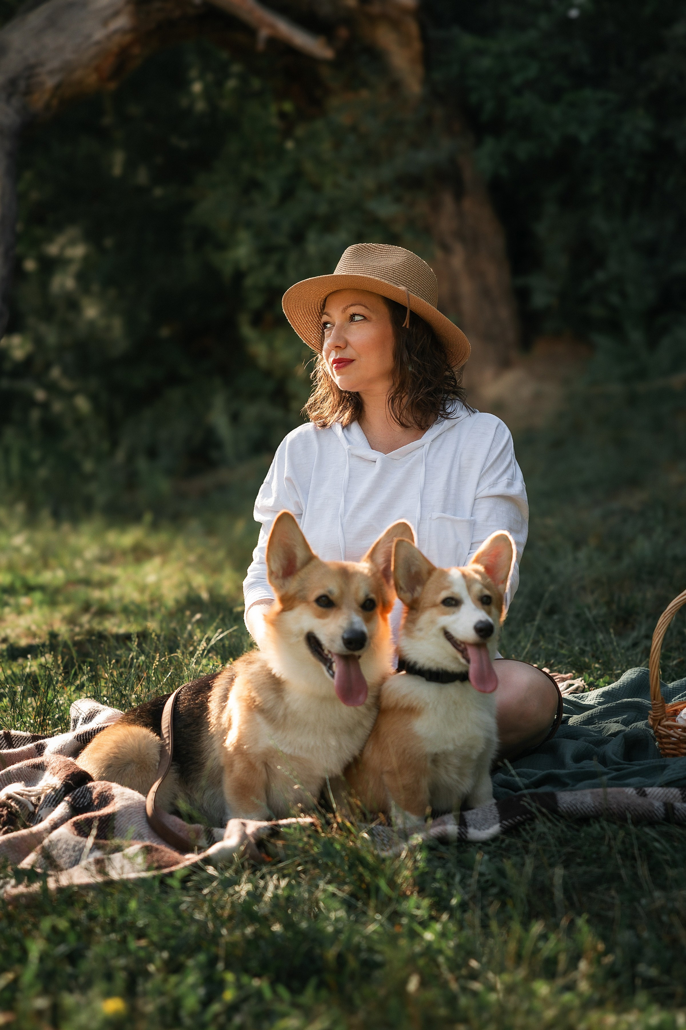 Корги. Семейный и детский фотограф в Краснодаре Ксения Новикова