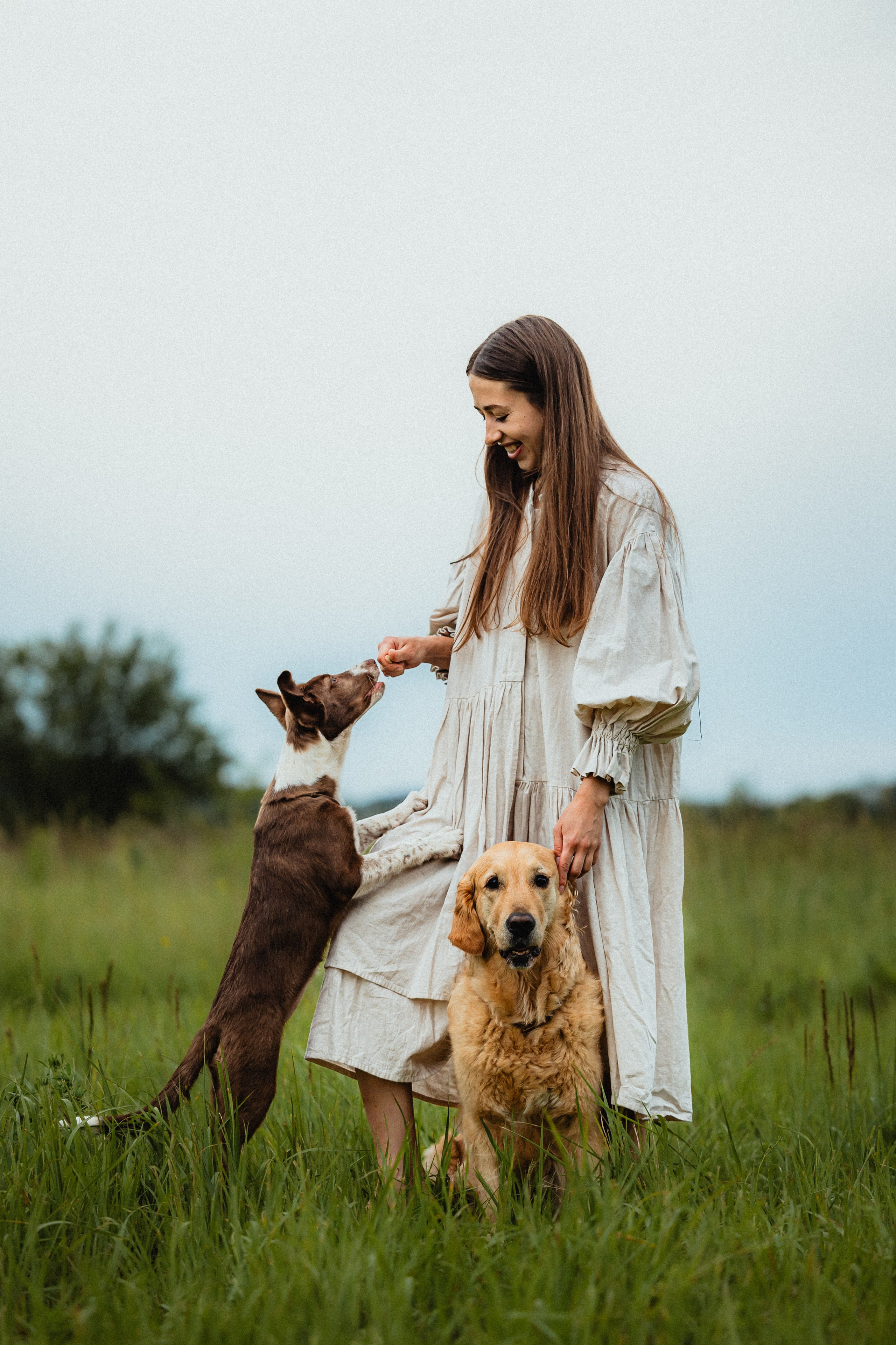 Выездной дог-тренинг от школы «Шерсть имею»
