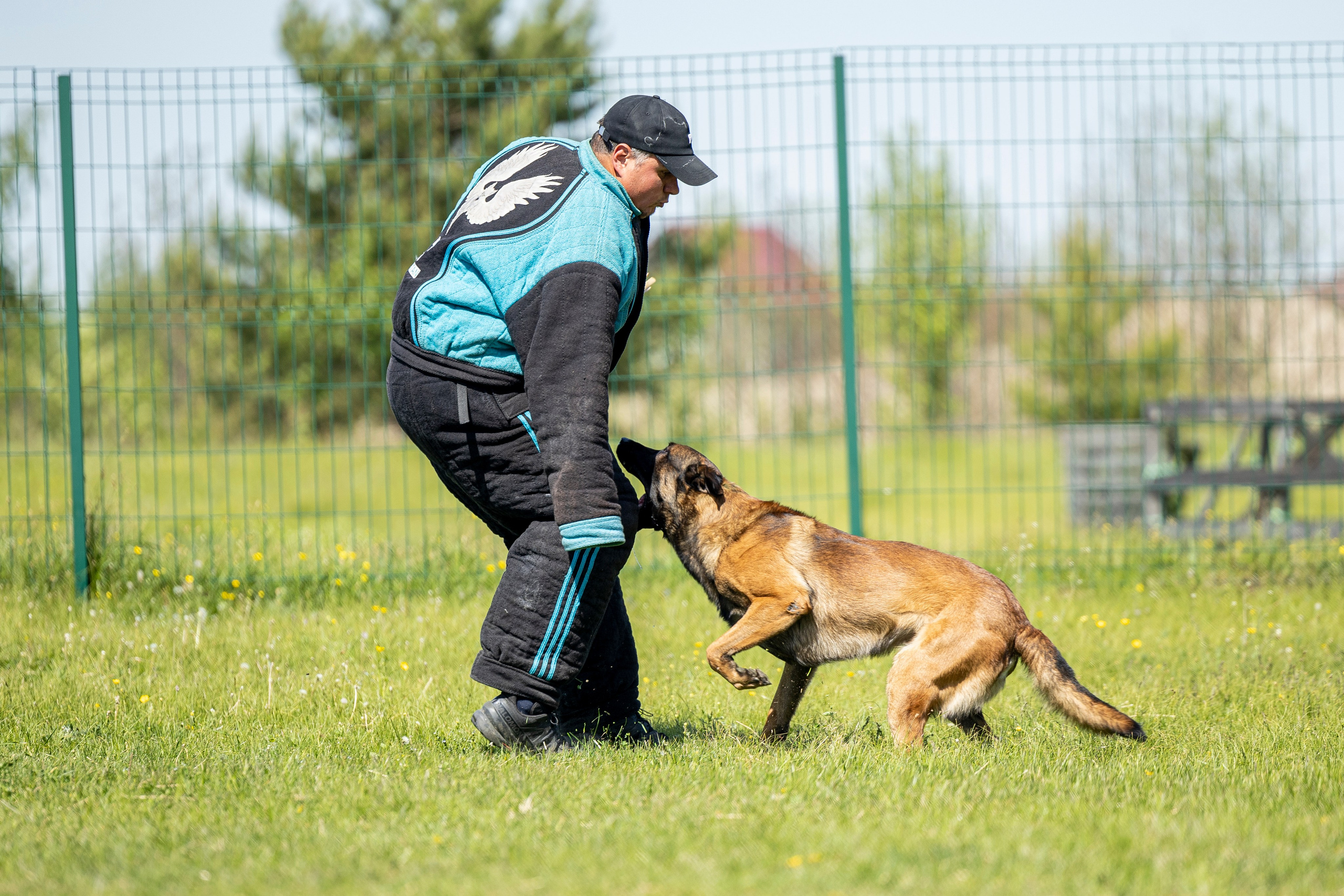 Испытания по мондьорингу в Нижнем Новгороде. Фотограф-анималист Анна Маринич