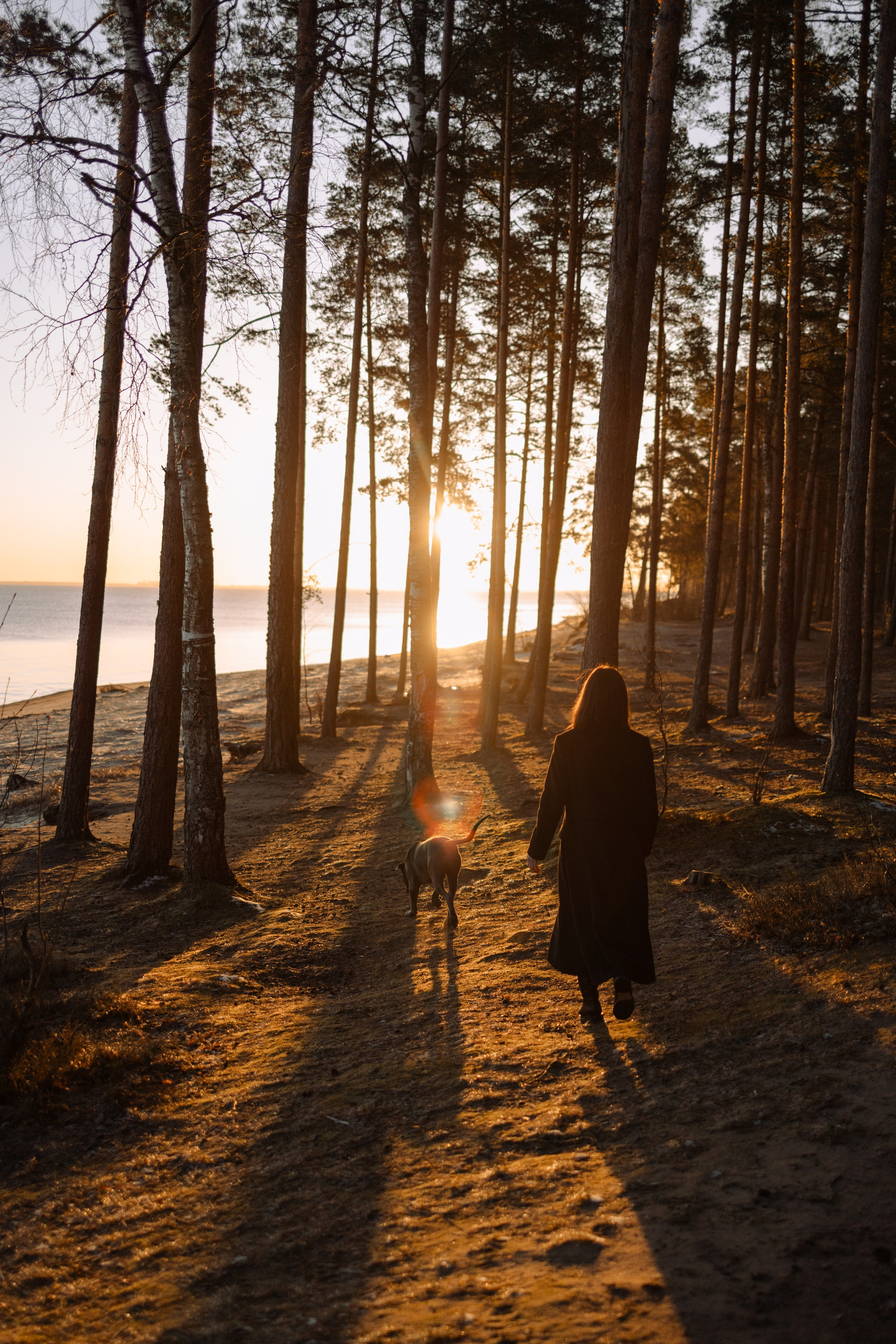 Анна и Лана. Фотограф — Анималист | Санкт-Петербург