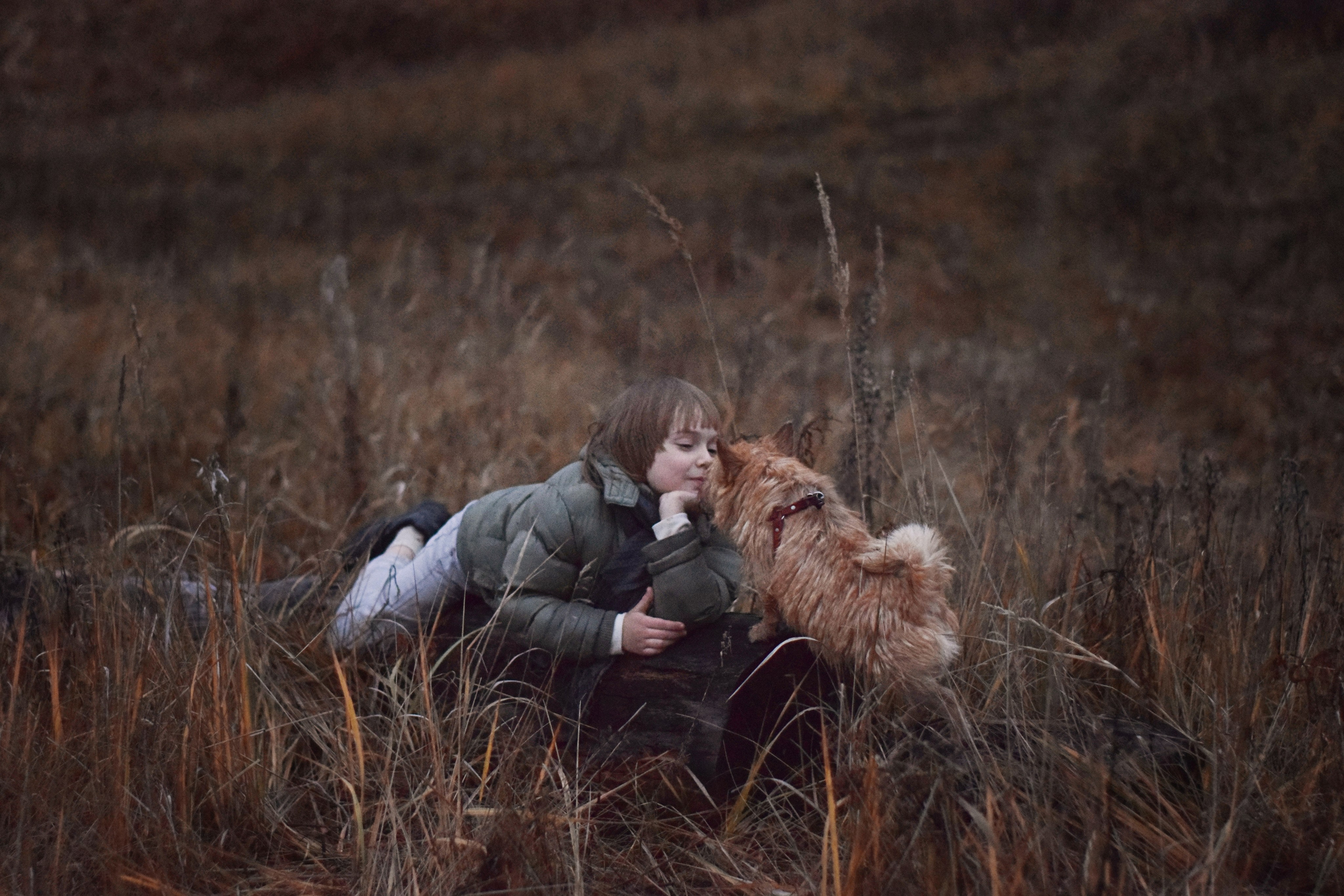Портфолио. Семейный и детский фотограф