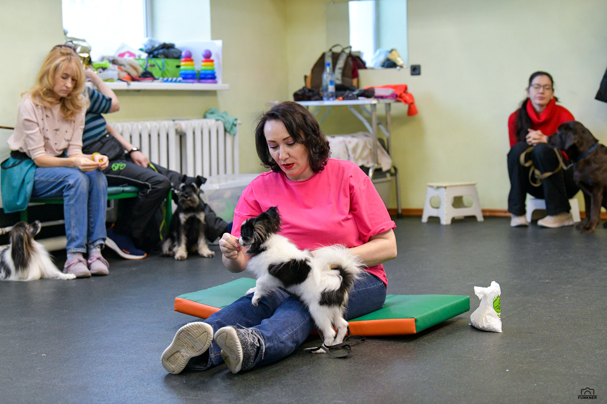 Кинологический клуб «Бодрый хвост». Свой взгляд через объектив