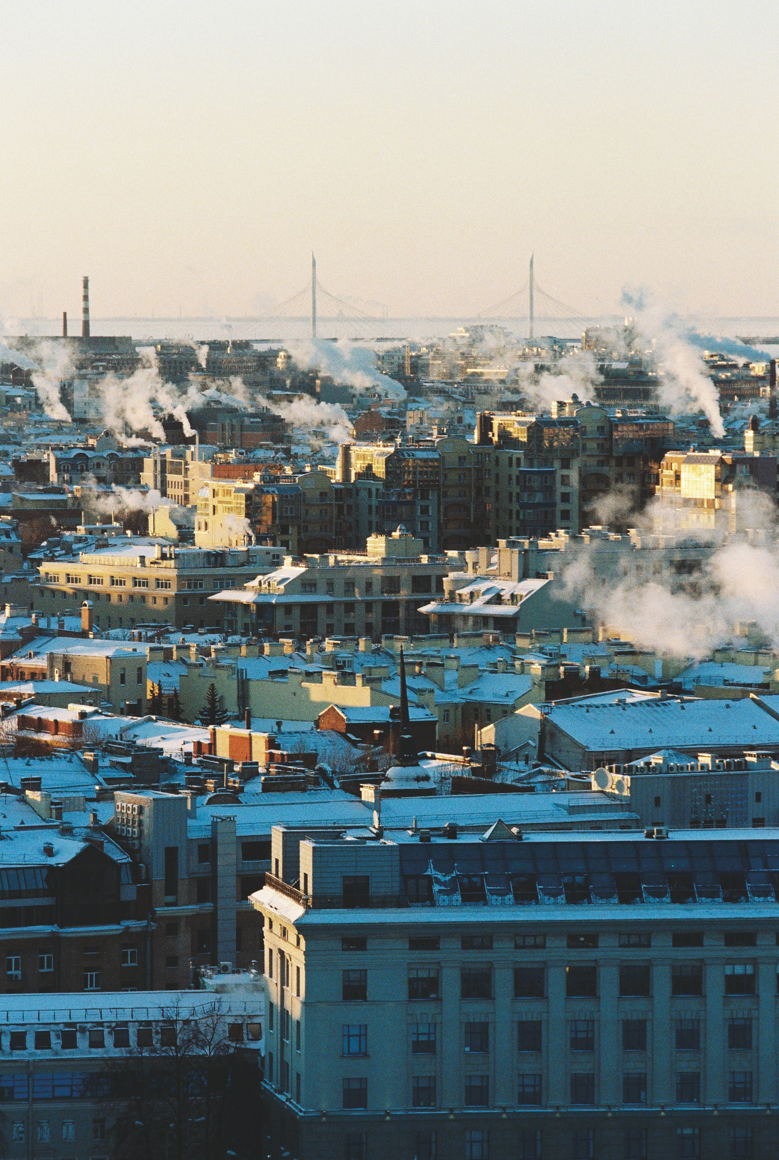 Фотографии цветные. Свадебный и семейный пленочный фотограф в Петербурге Истомина Ирина