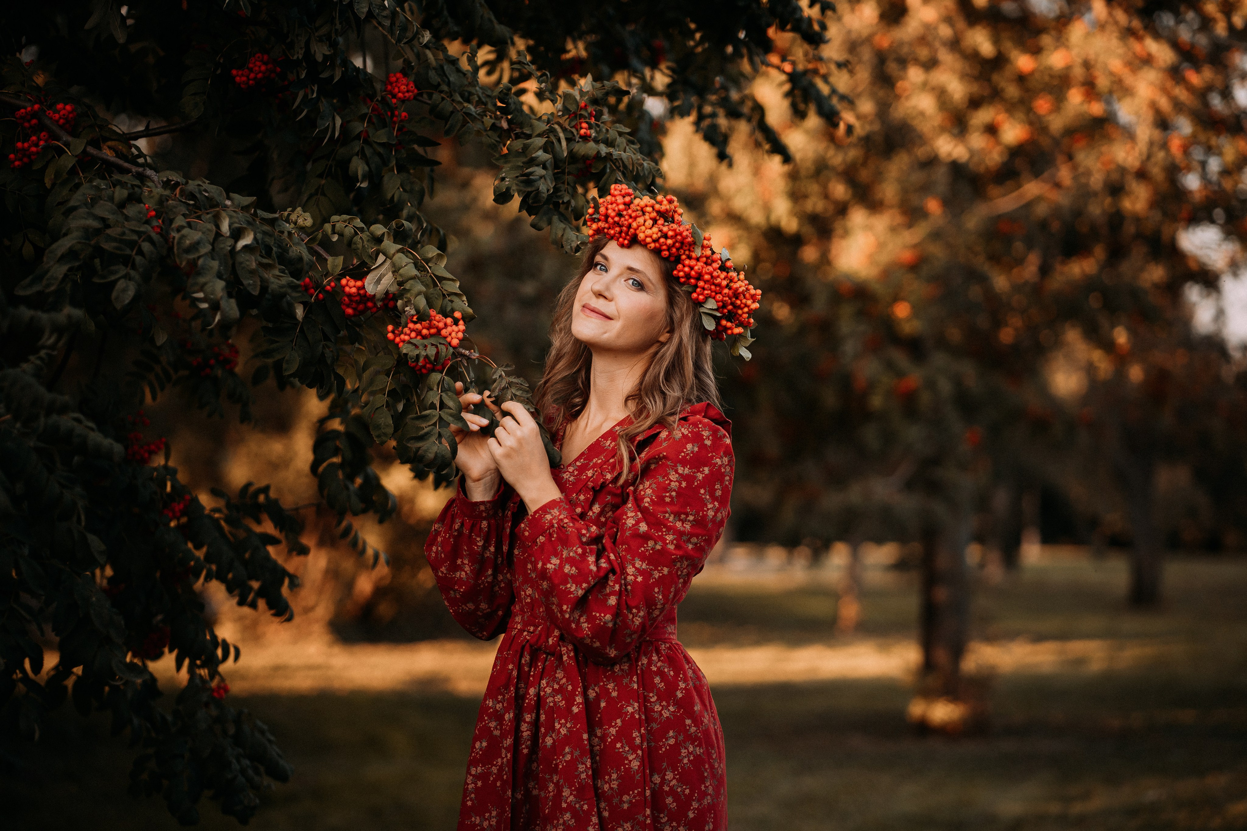 Яблочная радость. Главная