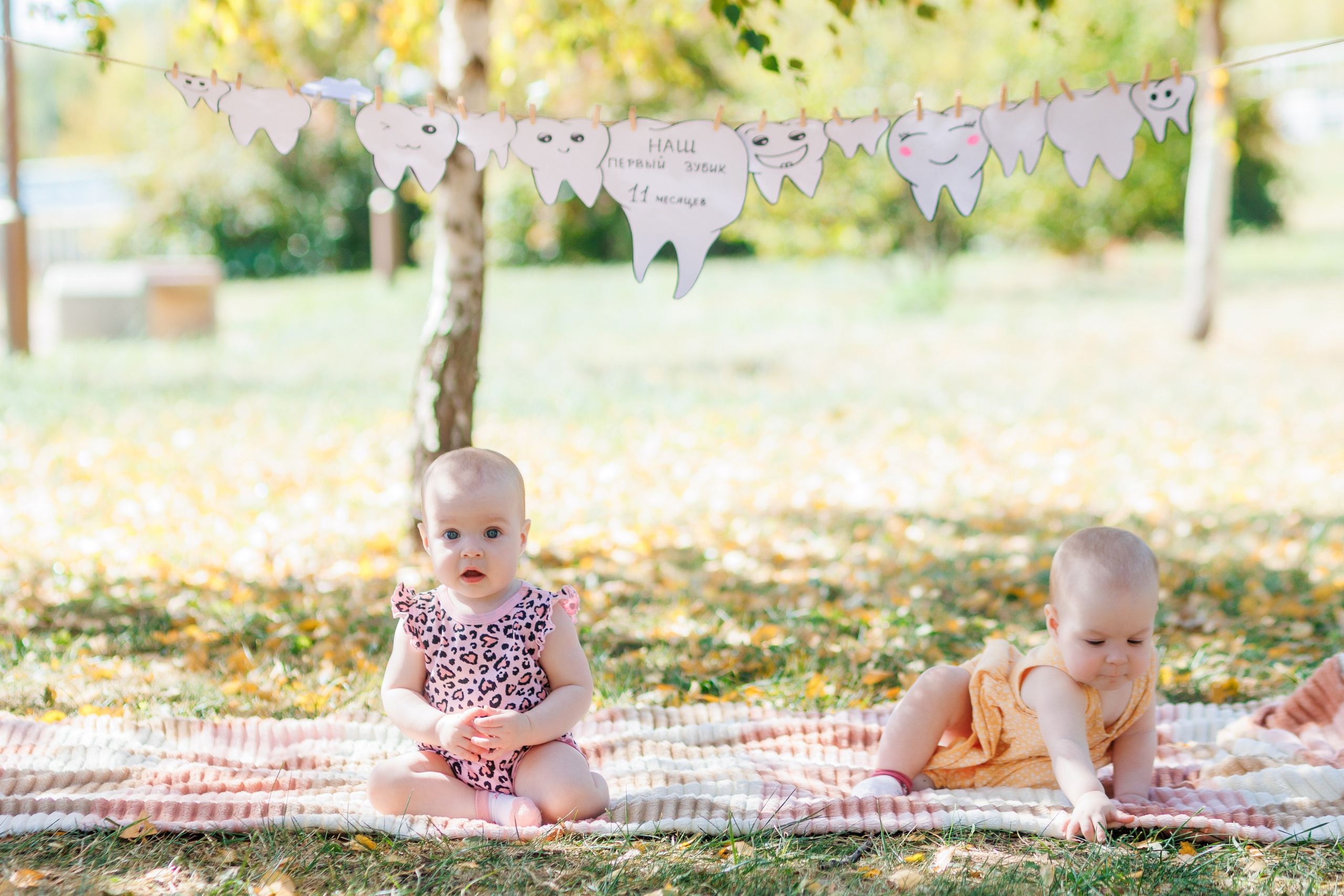 Первый зубик. Свадебный и семейный фотограф в Армавире