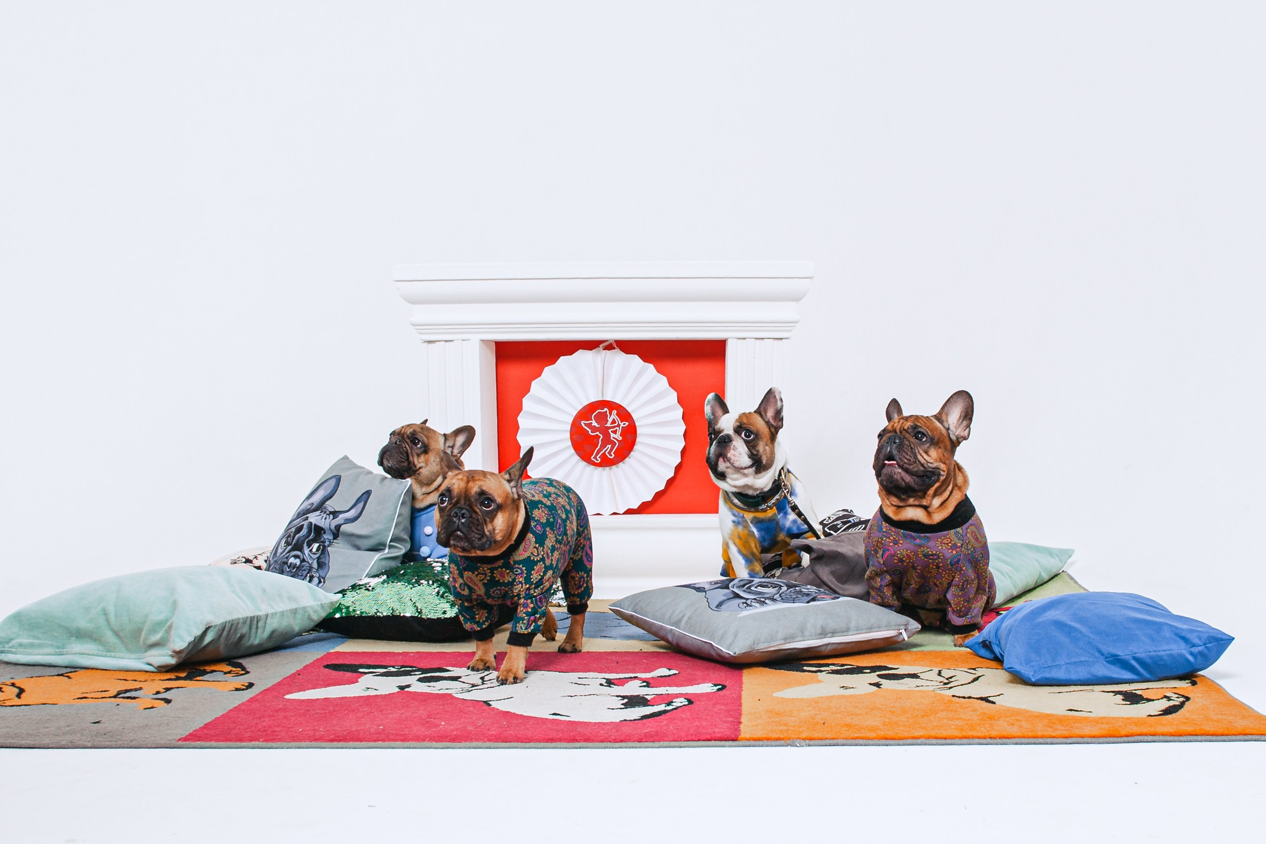 Пижамная вечеринка французских бульдогов и их хозяев. Фотограф-анималист Татьяна Степанова