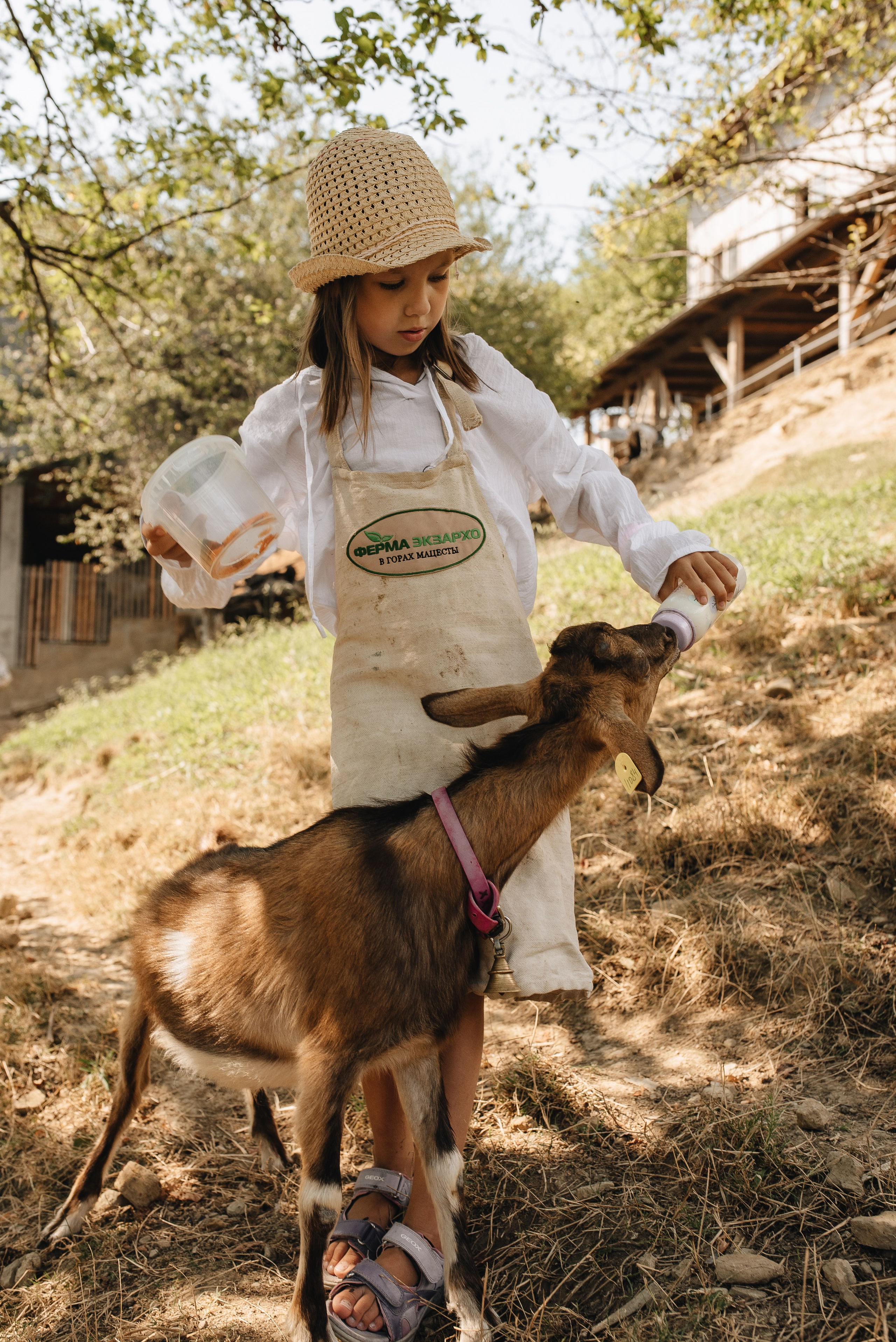 На ферме. Семейная фотосессия в Новосибирске от фотографа Ольги Коваль