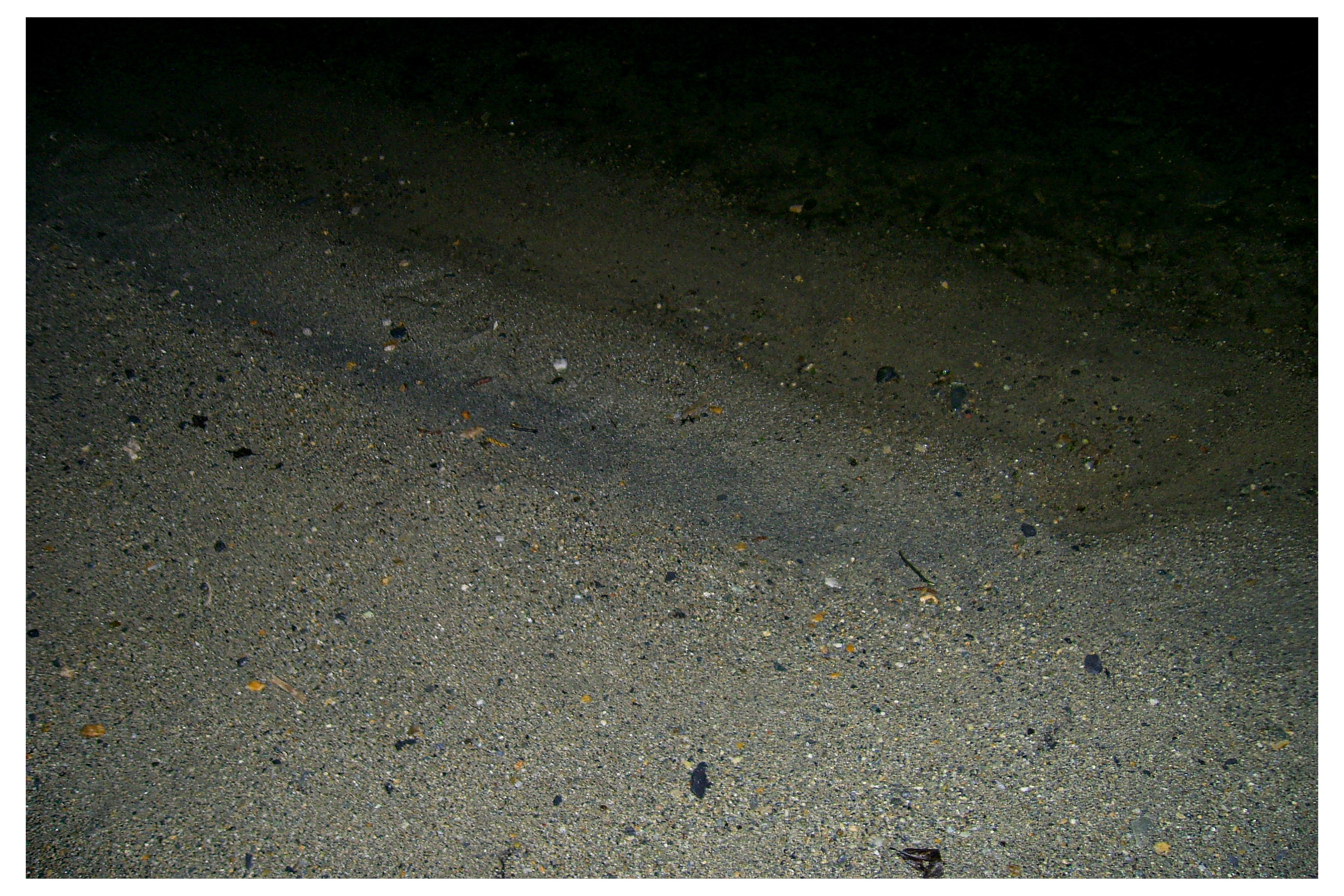 ДАЧА. Фотограф Манакова Ольга