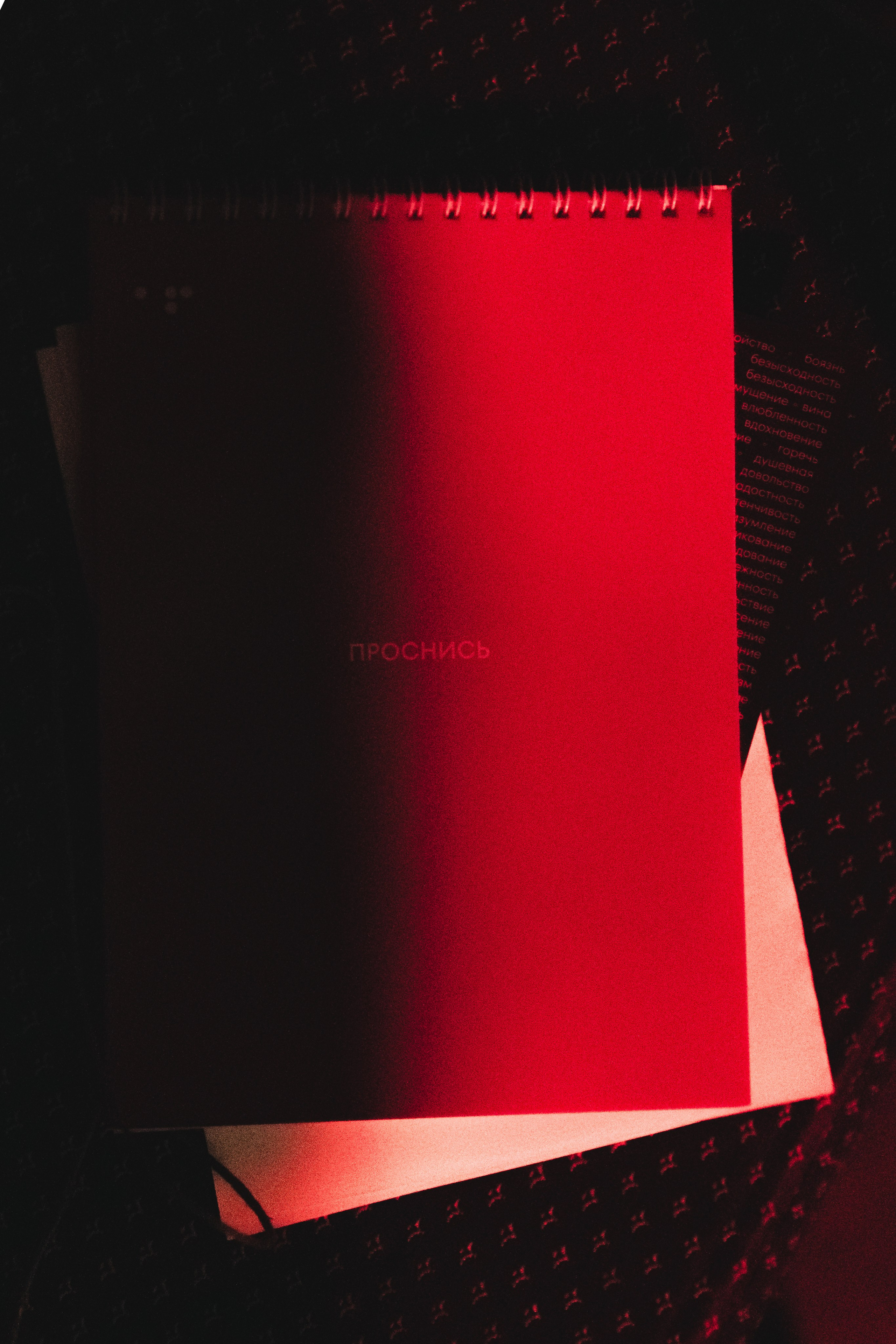 «ПУТЬ ГЕРОЯ». Свадебный фотограф Питер СПБ Индивидуальные, парные, свадебные съёмки