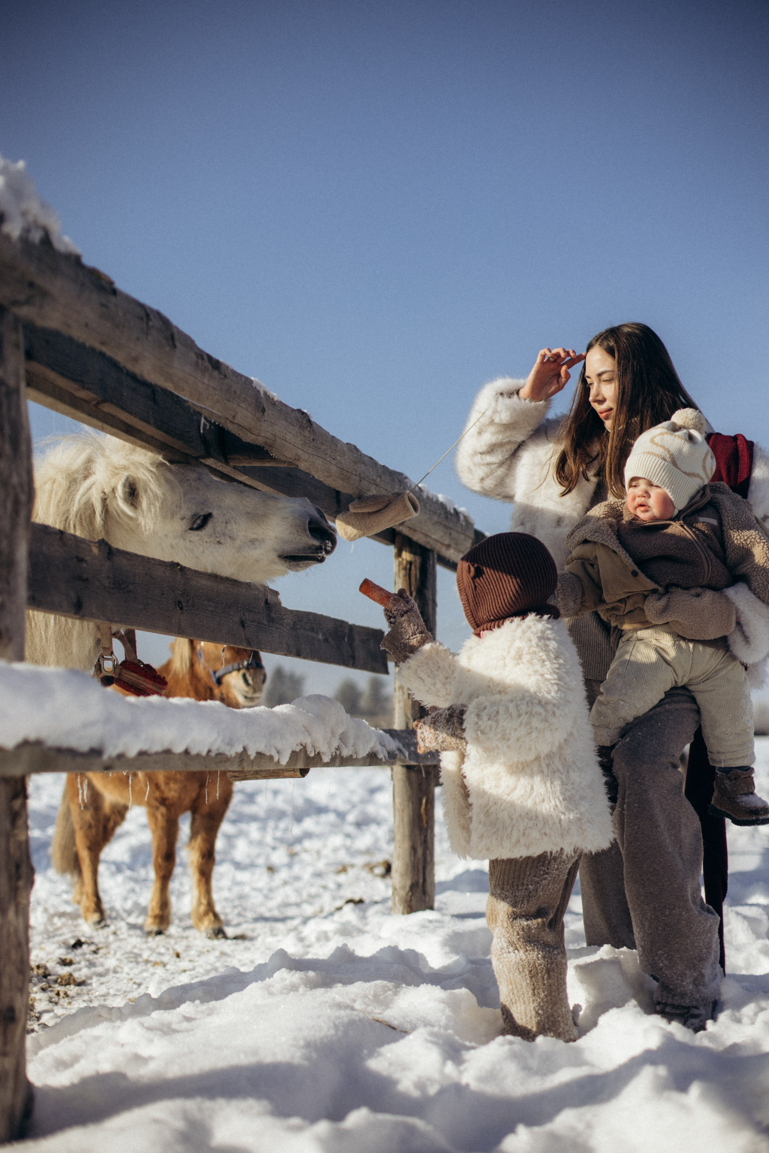 Настя с Сашей и Полей на ферме. Klerout Photographer