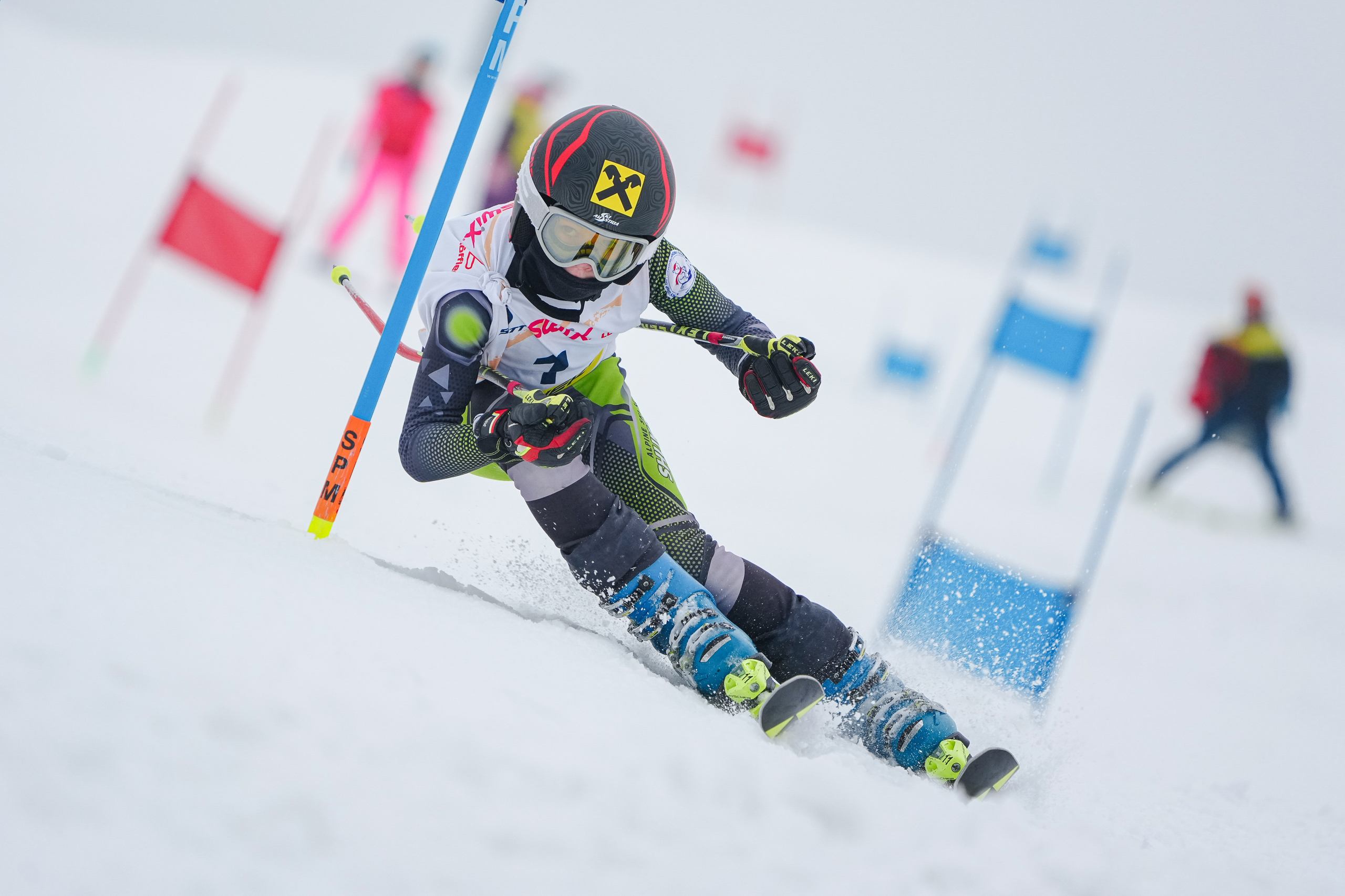 GS (Giant Slalom) - Слалом-гигант. Соревнования по горнолыжному спорту. Московская область, Шуколово