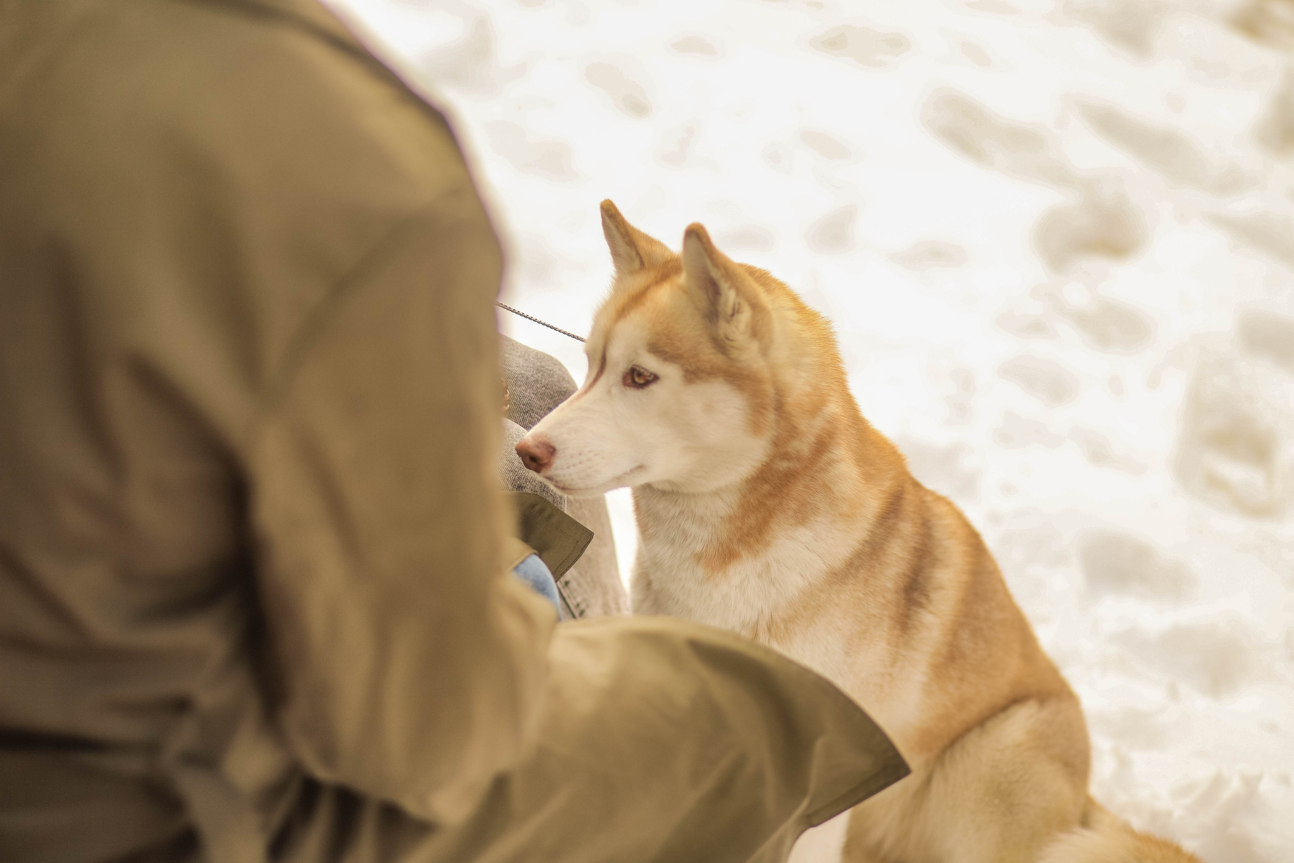 Лавстори. Семейный свадебный интерьерный фотограф Тверь Санкт- Марина Свистунова