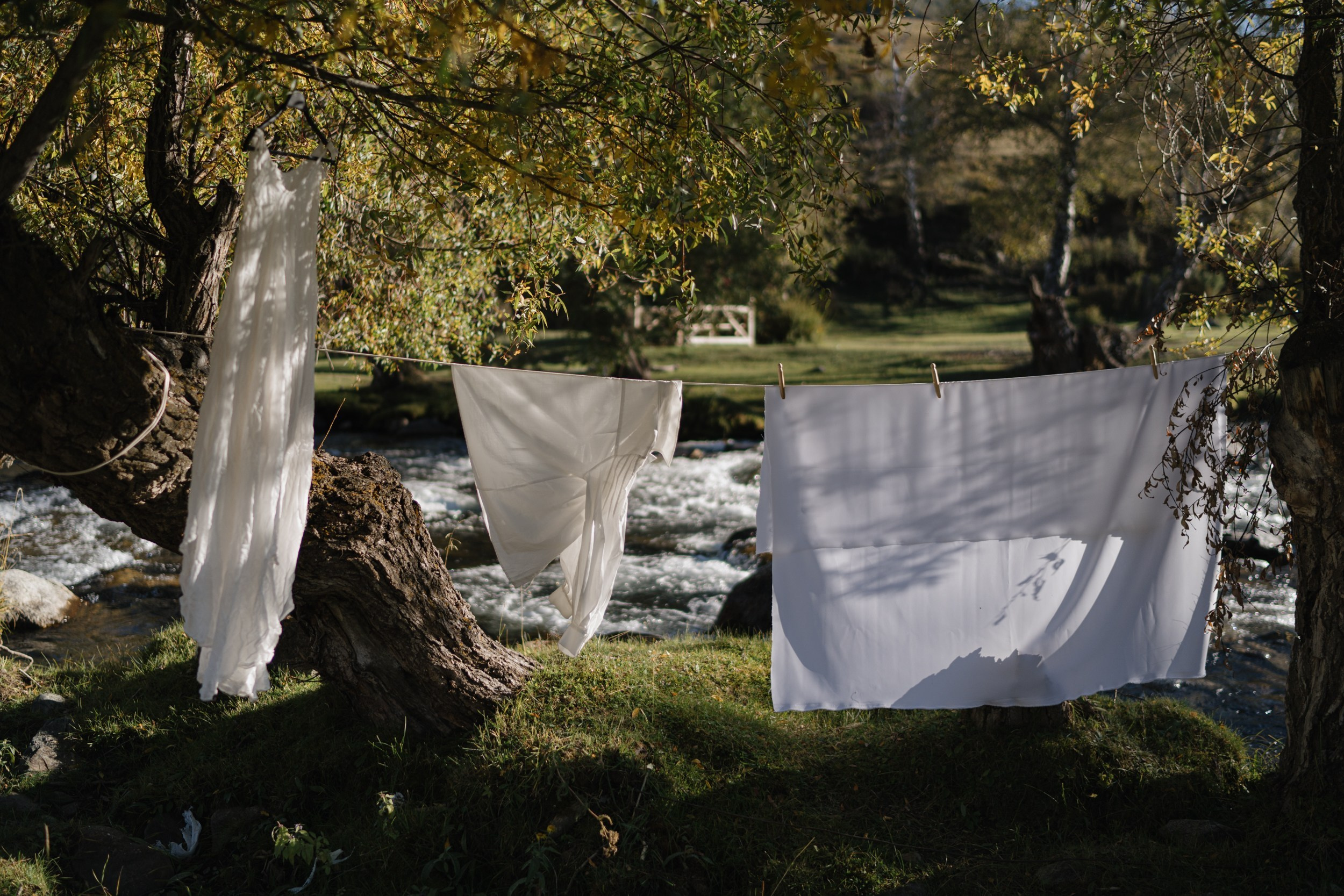 Road Trip. Главная