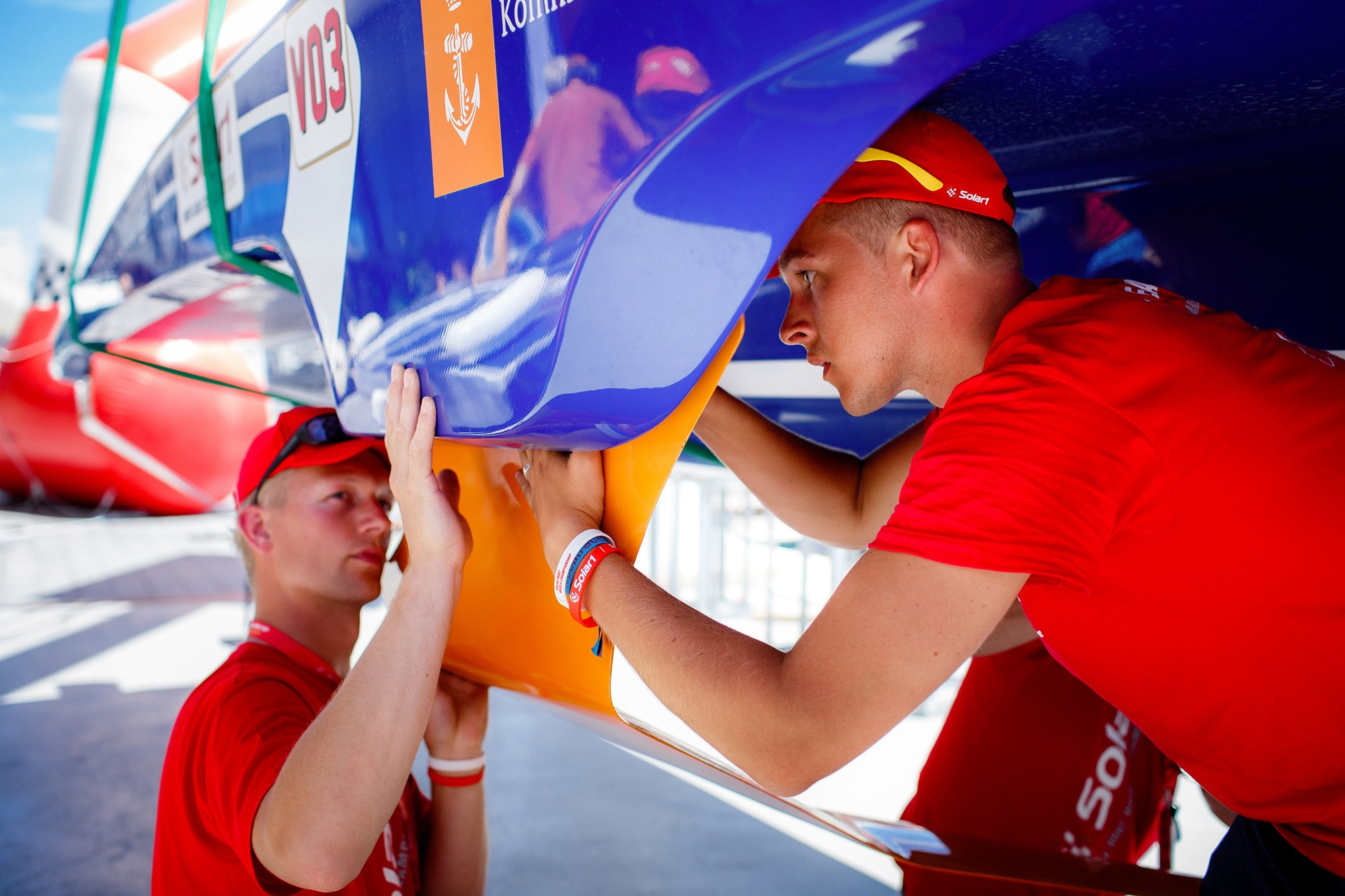 Report VIII. Veedoff