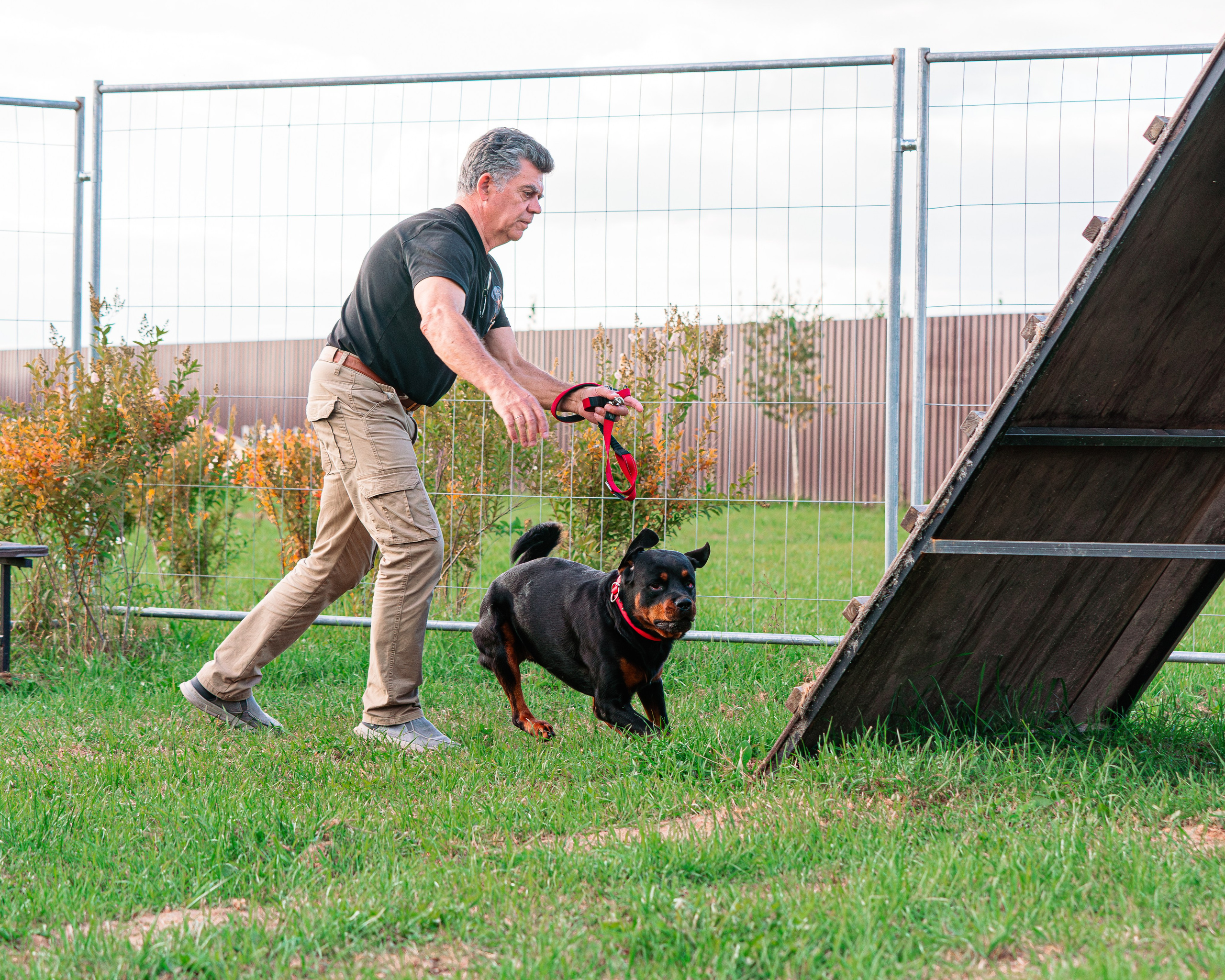 Ваш путь к ПОБЕДЕ (ТРЕНИРОВКИ). Фотограф-анималист, семейный фотограф в Москве и Подмосковье. Фотосъёмка кинологических дисциплин