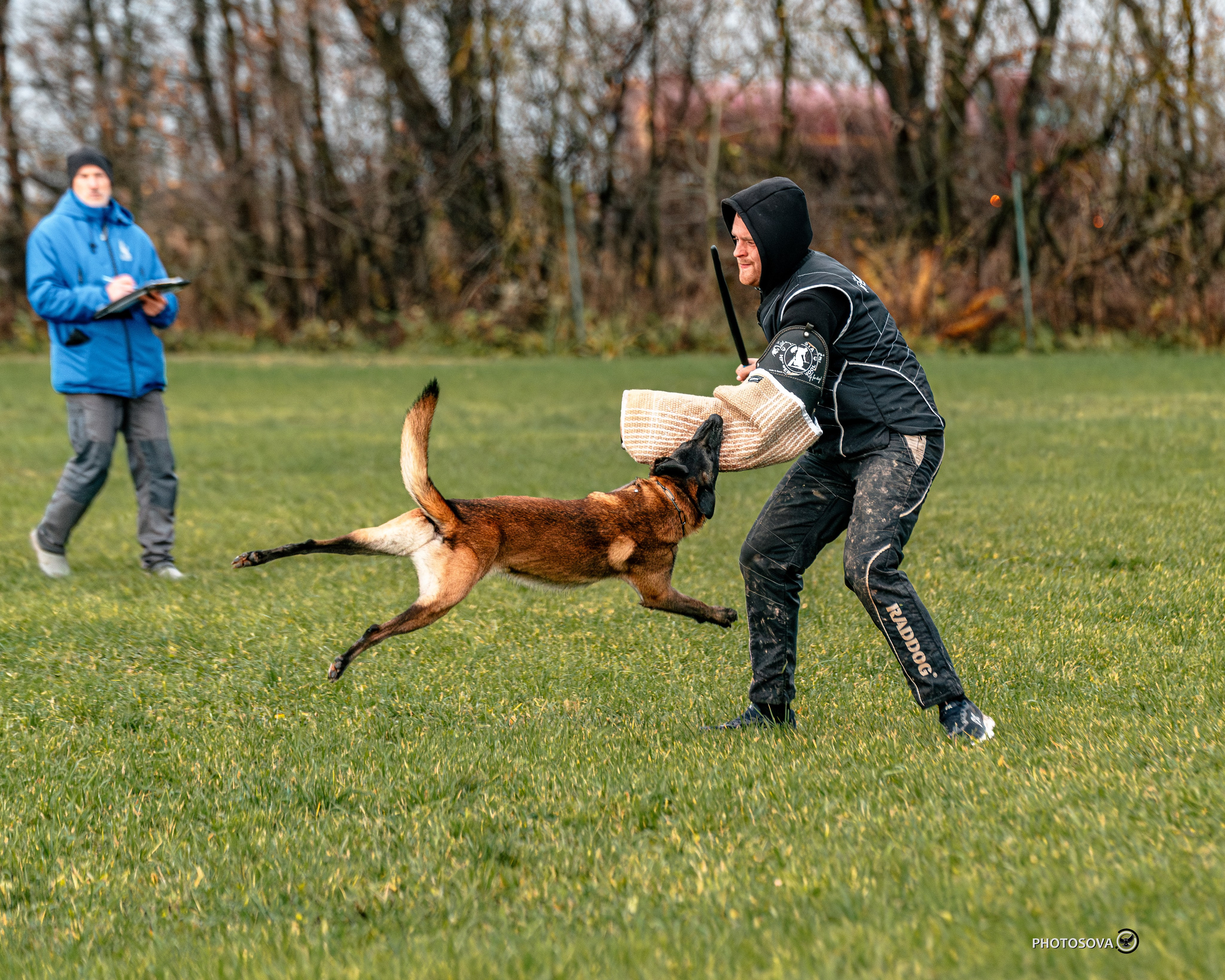 МЫ — КОМАНДА (соревнования) OKD, BH, IBGH, IGP. Фотограф-анималист, семейный фотограф в Москве и Подмосковье. Фотосъёмка кинологических дисциплин