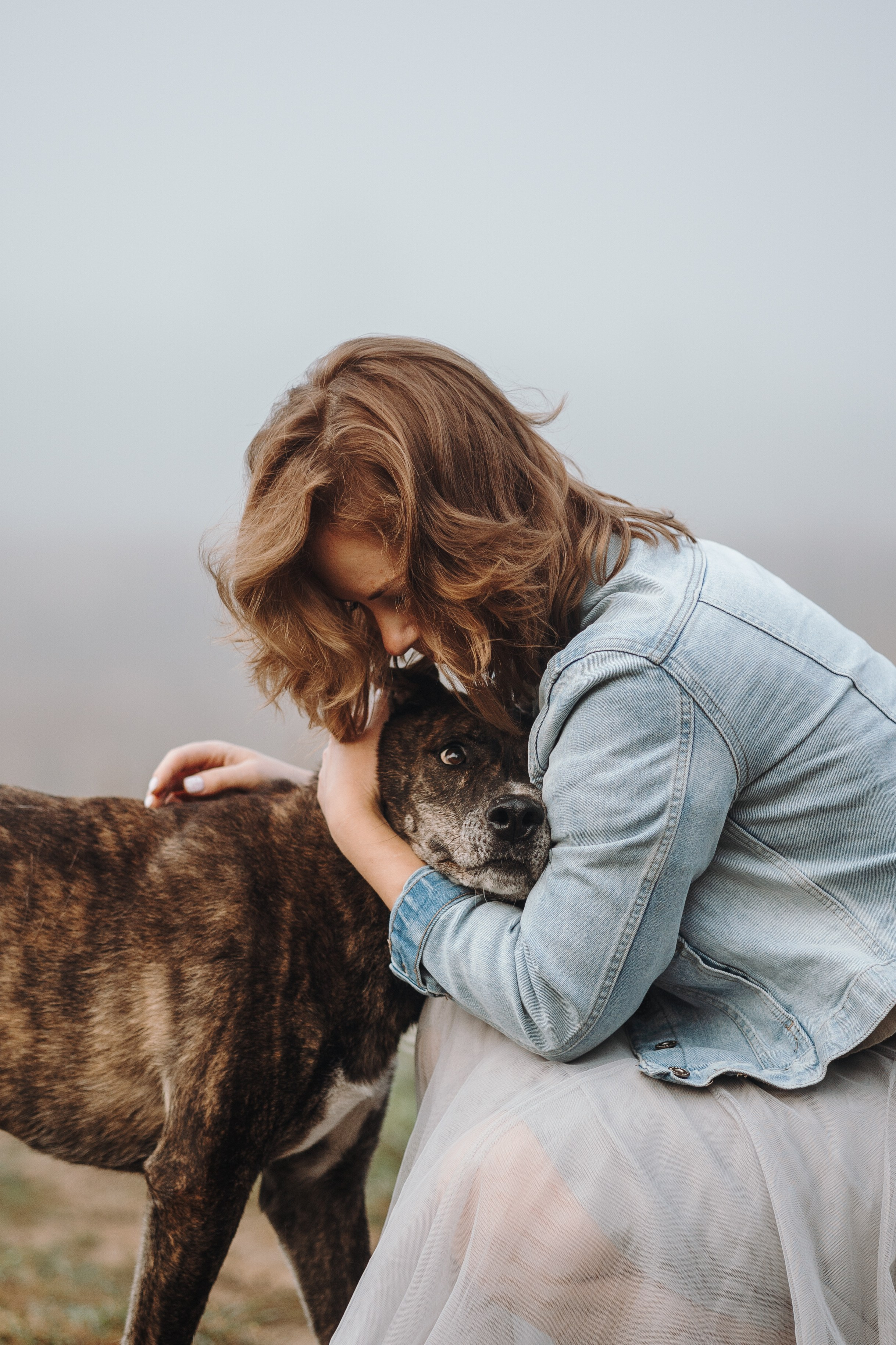 Любовь и ее хвостики. Фотограф — Анималист | Санкт-Петербург
