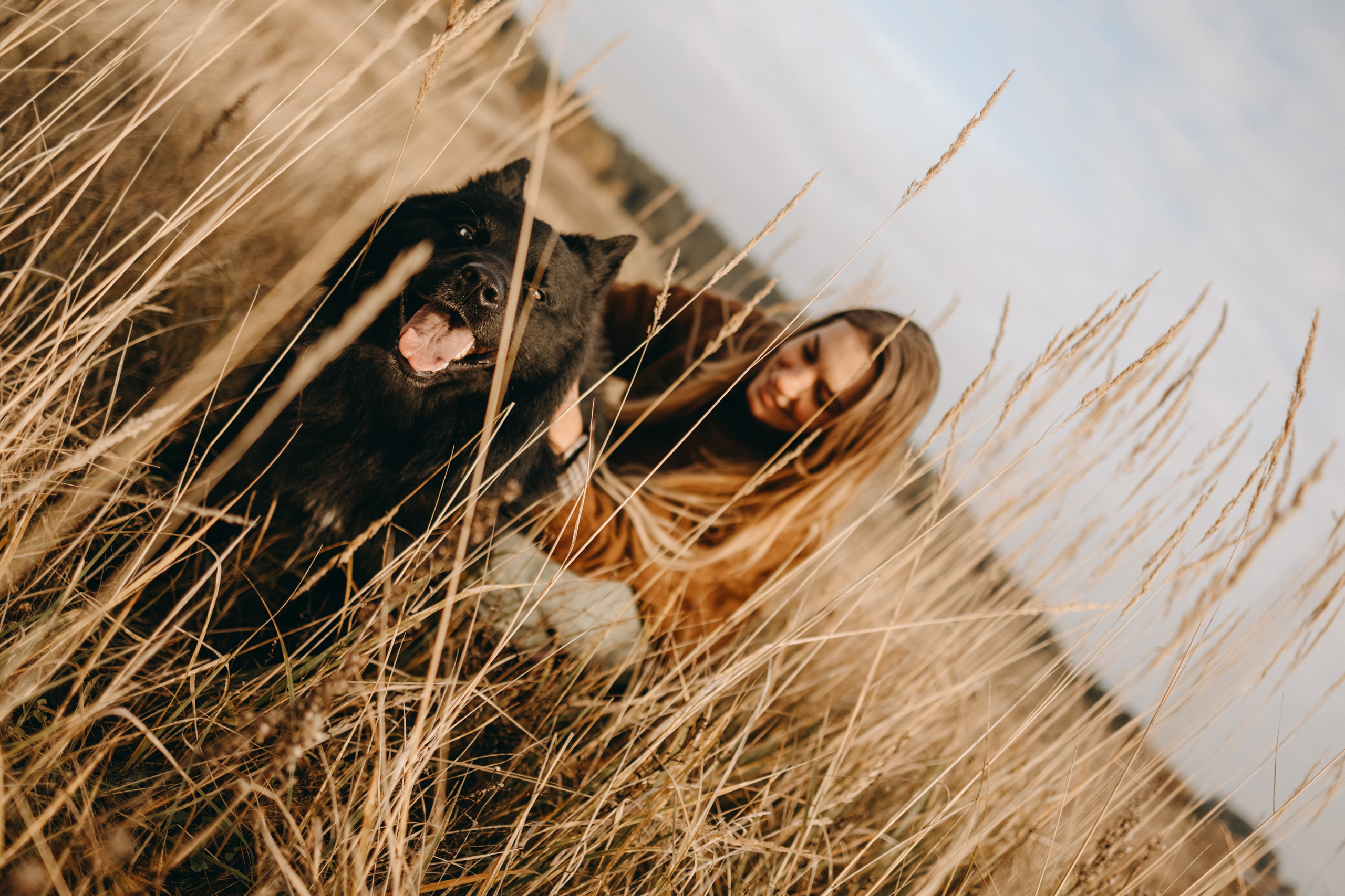 Лора и Джанго. Фотограф — Анималист | Санкт-Петербург