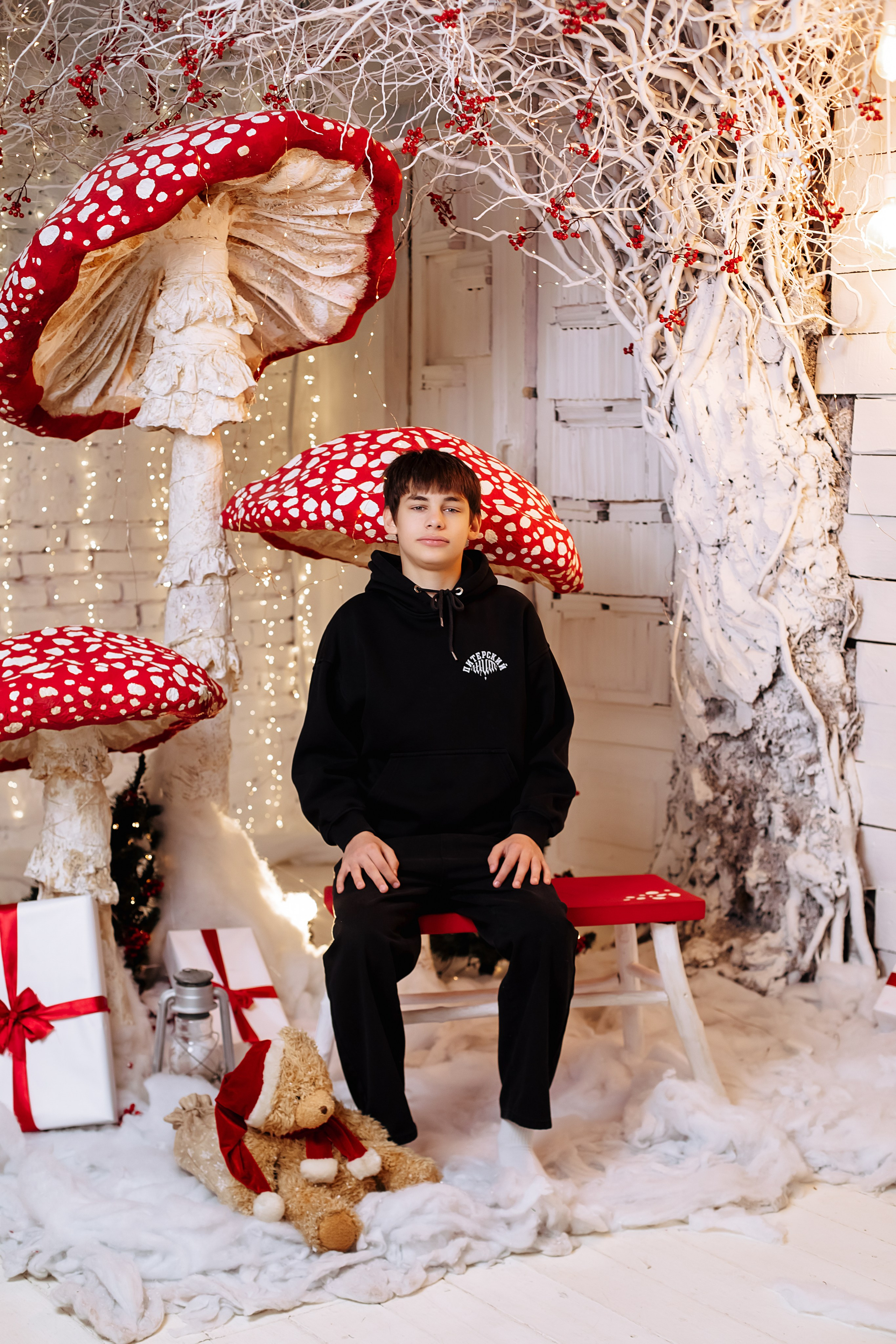 Новогодняя съемка. Https://malovafoto.ru