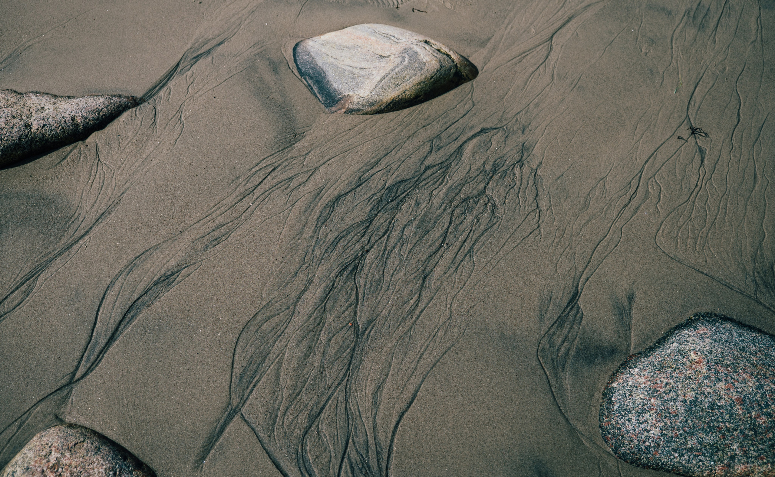 ТЕРИБЕРКА. Создание контента | Фото | Видеосъемка | Александр Ярков