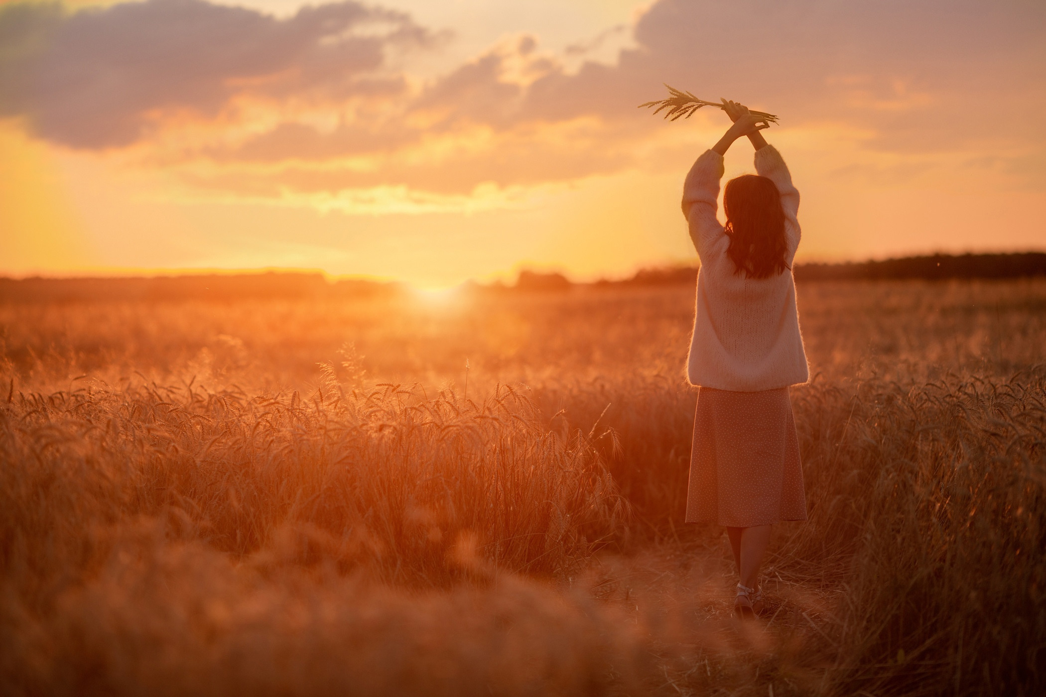 Пшеничные и ржаные поля ИЮЛЬ–АВГУСТ. Семейный и детский фотограф |Брянск| Анастасия Перепелкина