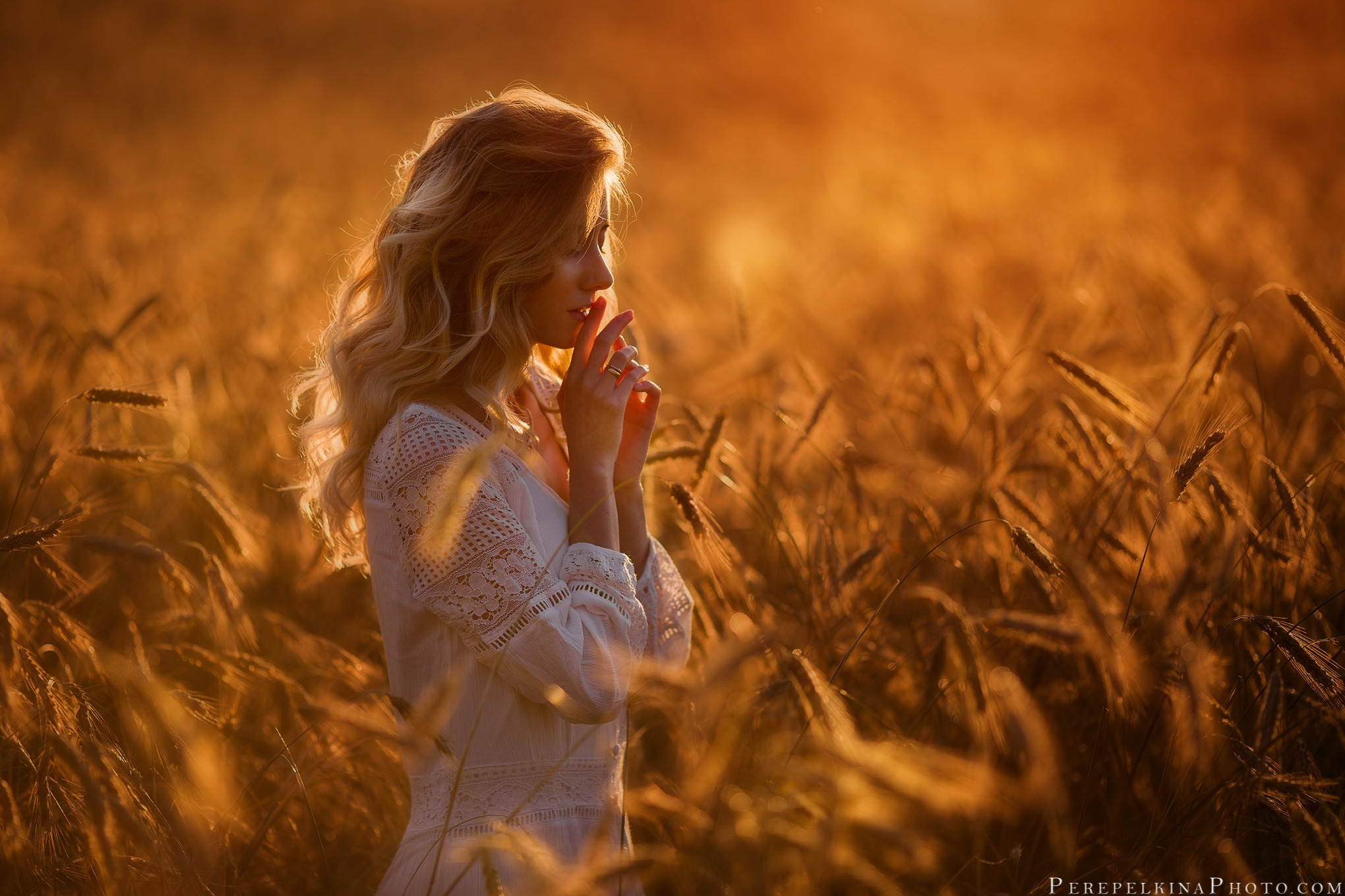 Пшеничные и ржаные поля ИЮЛЬ–АВГУСТ. Семейный и детский фотограф |Брянск| Анастасия Перепелкина