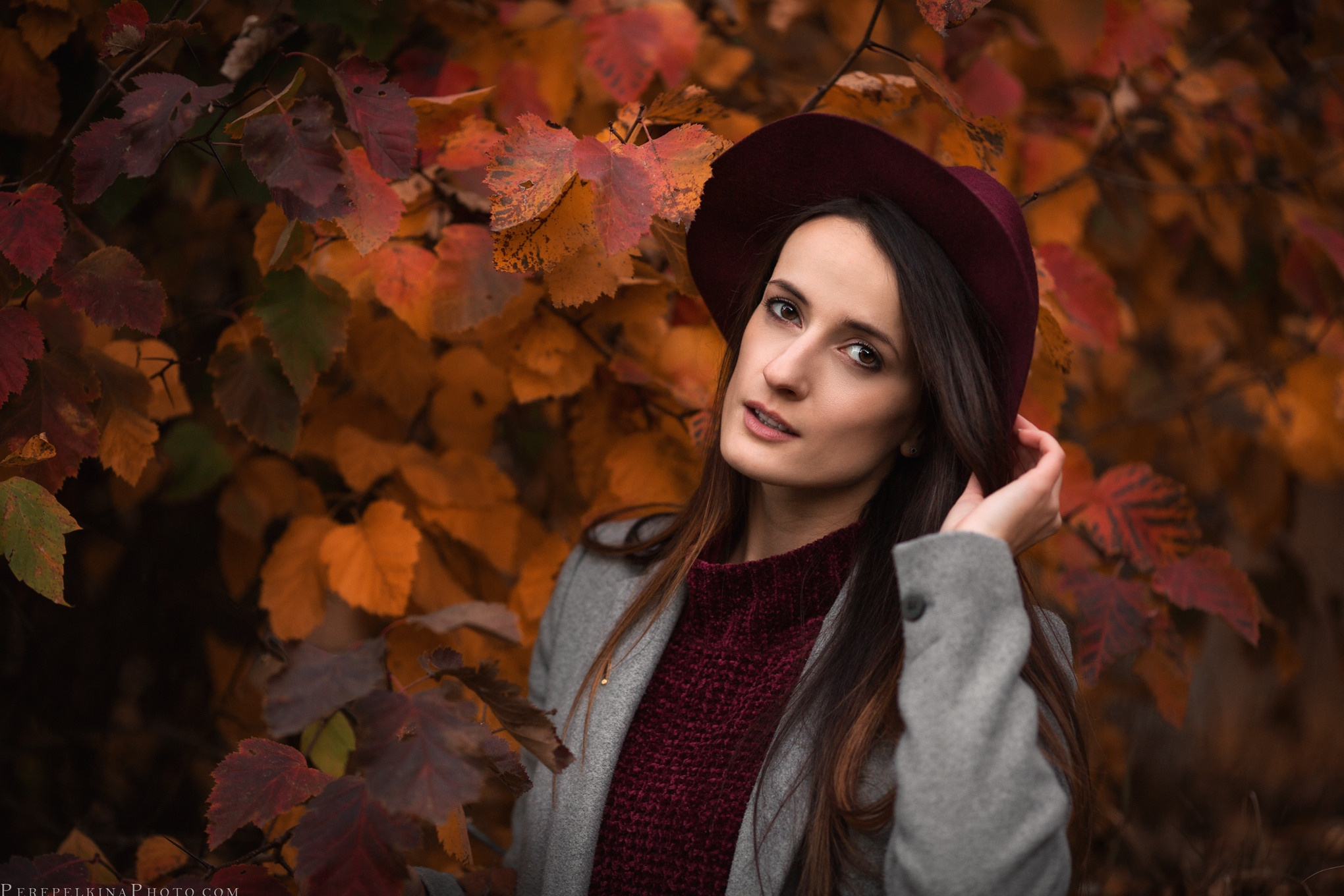 Золотая осень ОКТЯБРЬ. Семейный и детский фотограф |Брянск| Анастасия Перепелкина