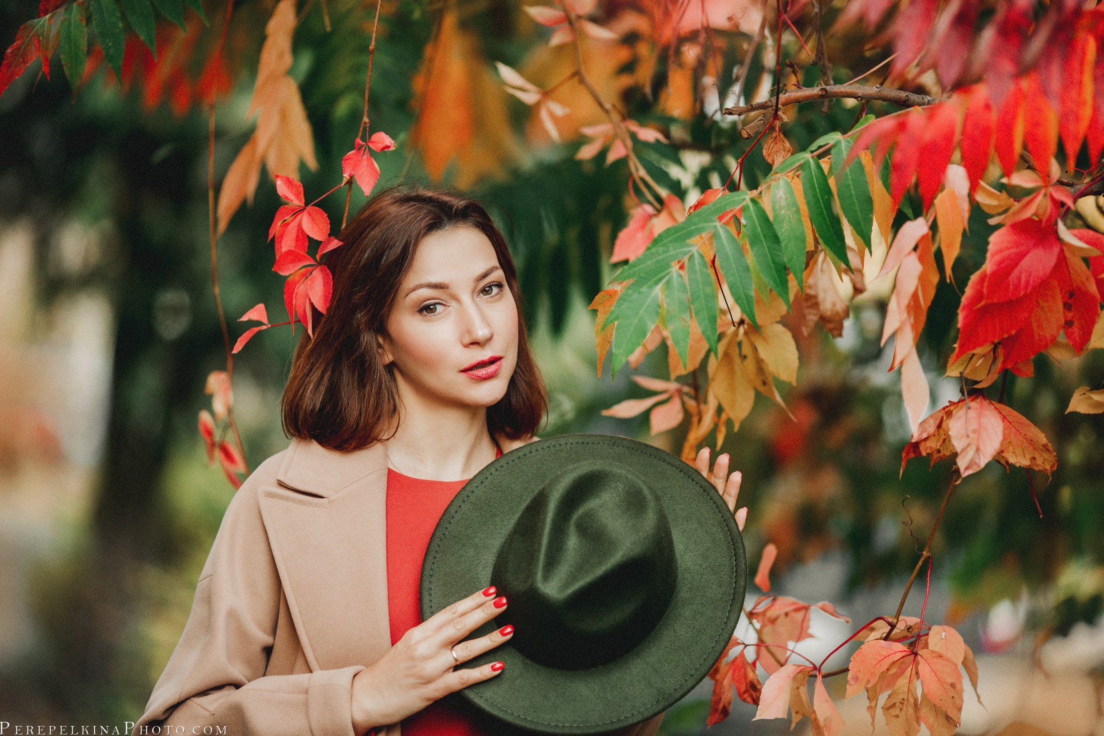 Золотая осень ОКТЯБРЬ. Семейный и детский фотограф |Брянск| Анастасия Перепелкина