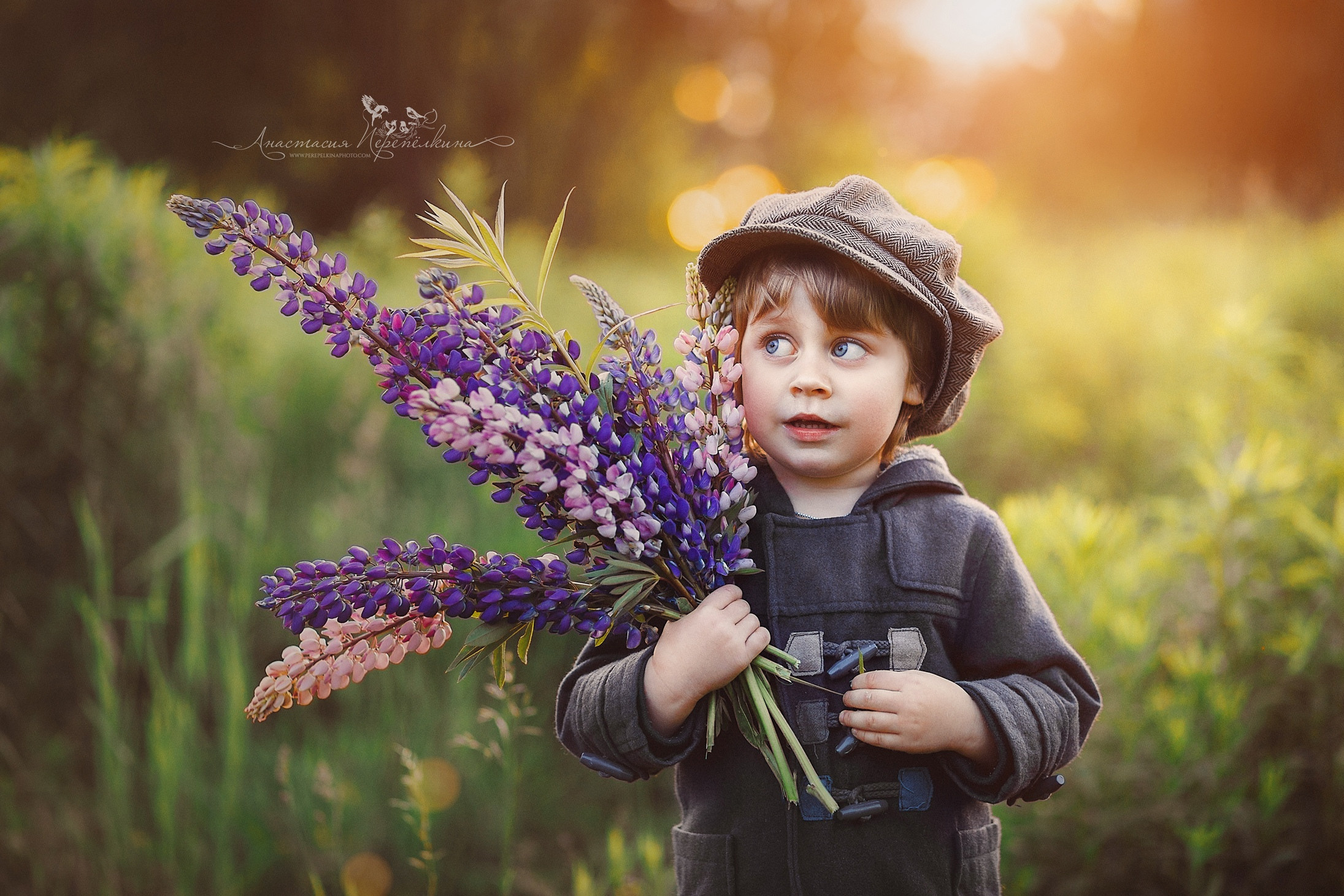Люпин ИЮНЬ. Семейный и детский фотограф |Брянск| Анастасия Перепелкина