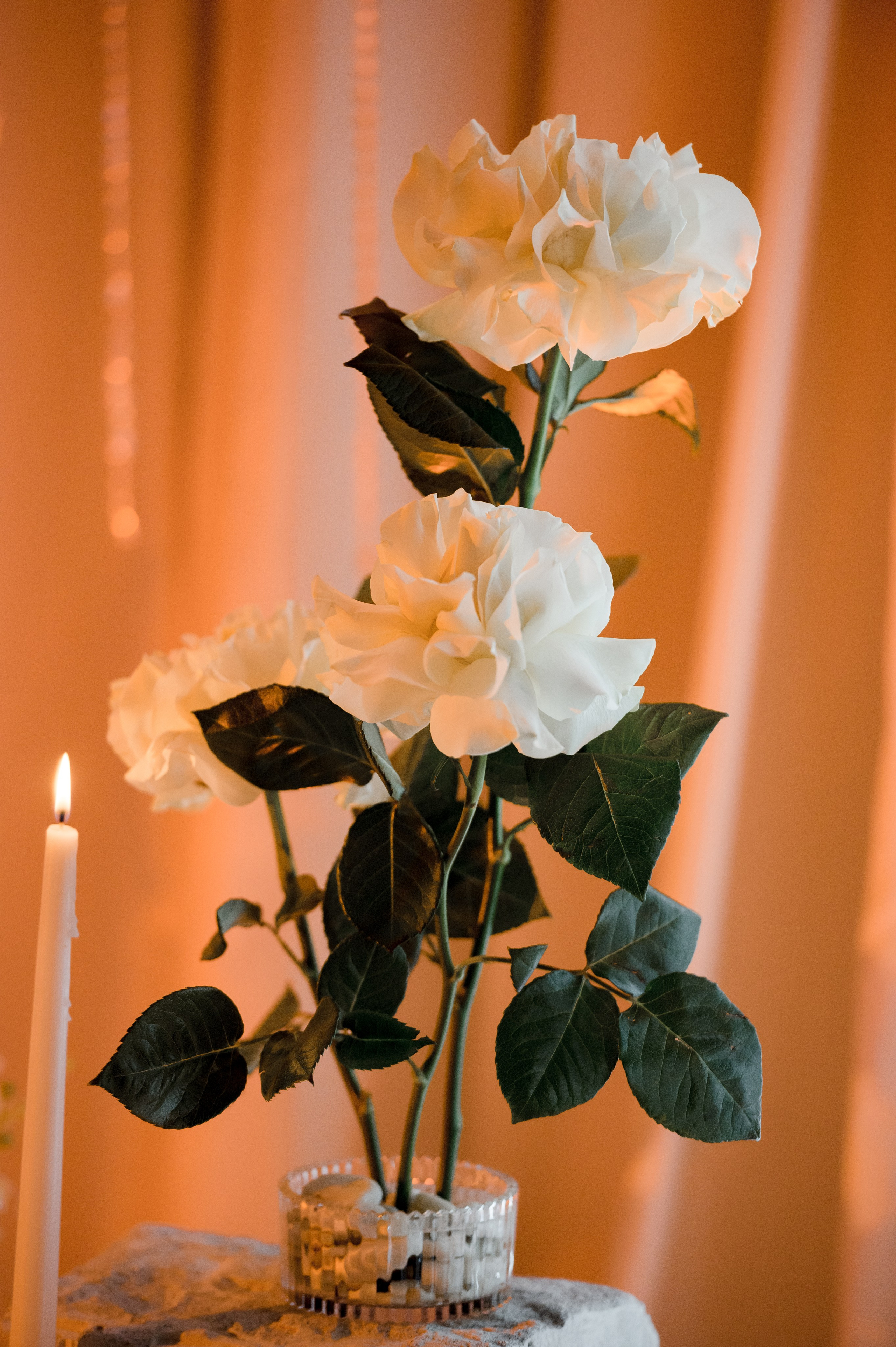 Рашид и Диана. Свадебный и портретный фотограф