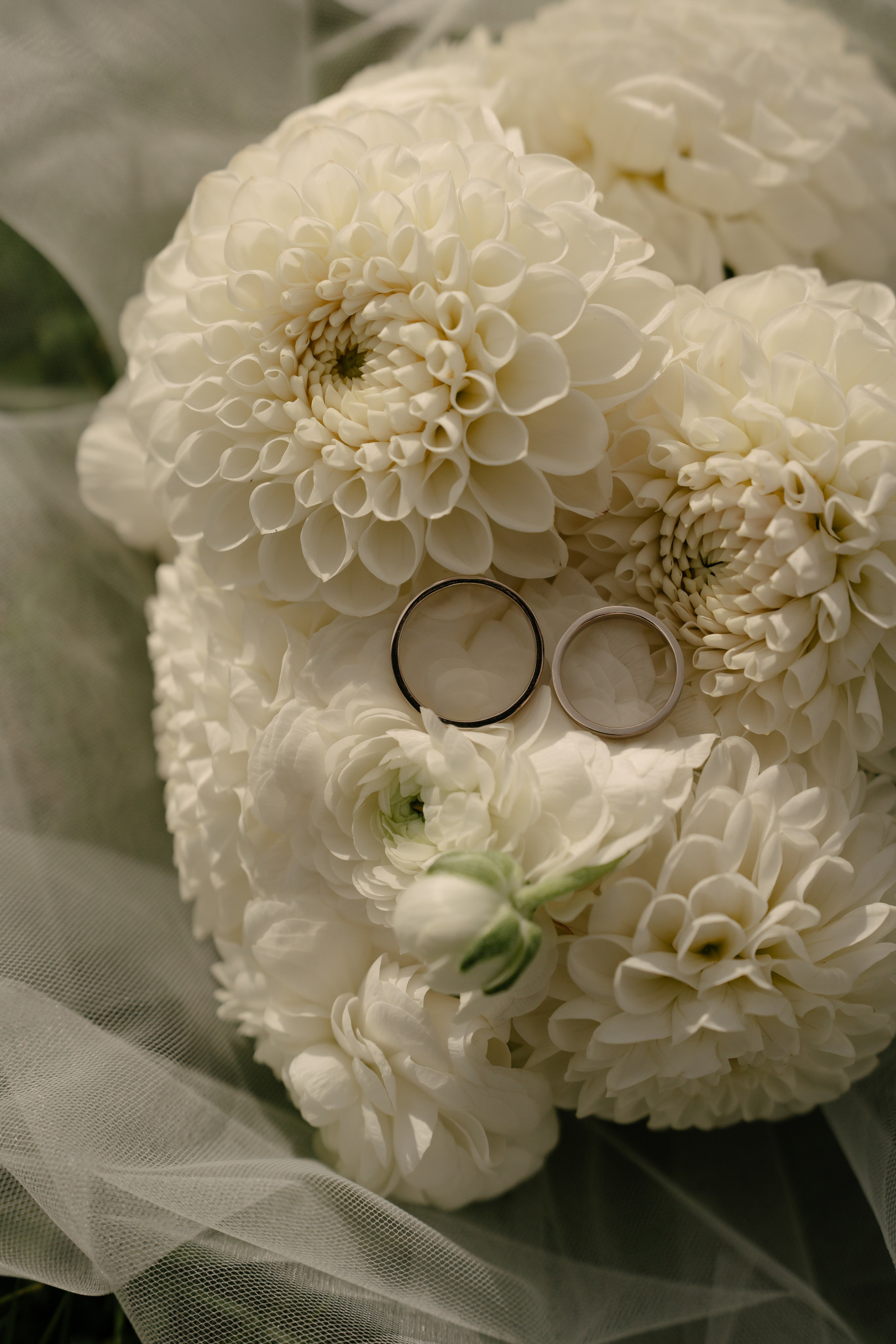 Саша и Катя. Свадебный и семейный фотограф в Москве и Красногорске — живые кадры | Анастасия Тихонова