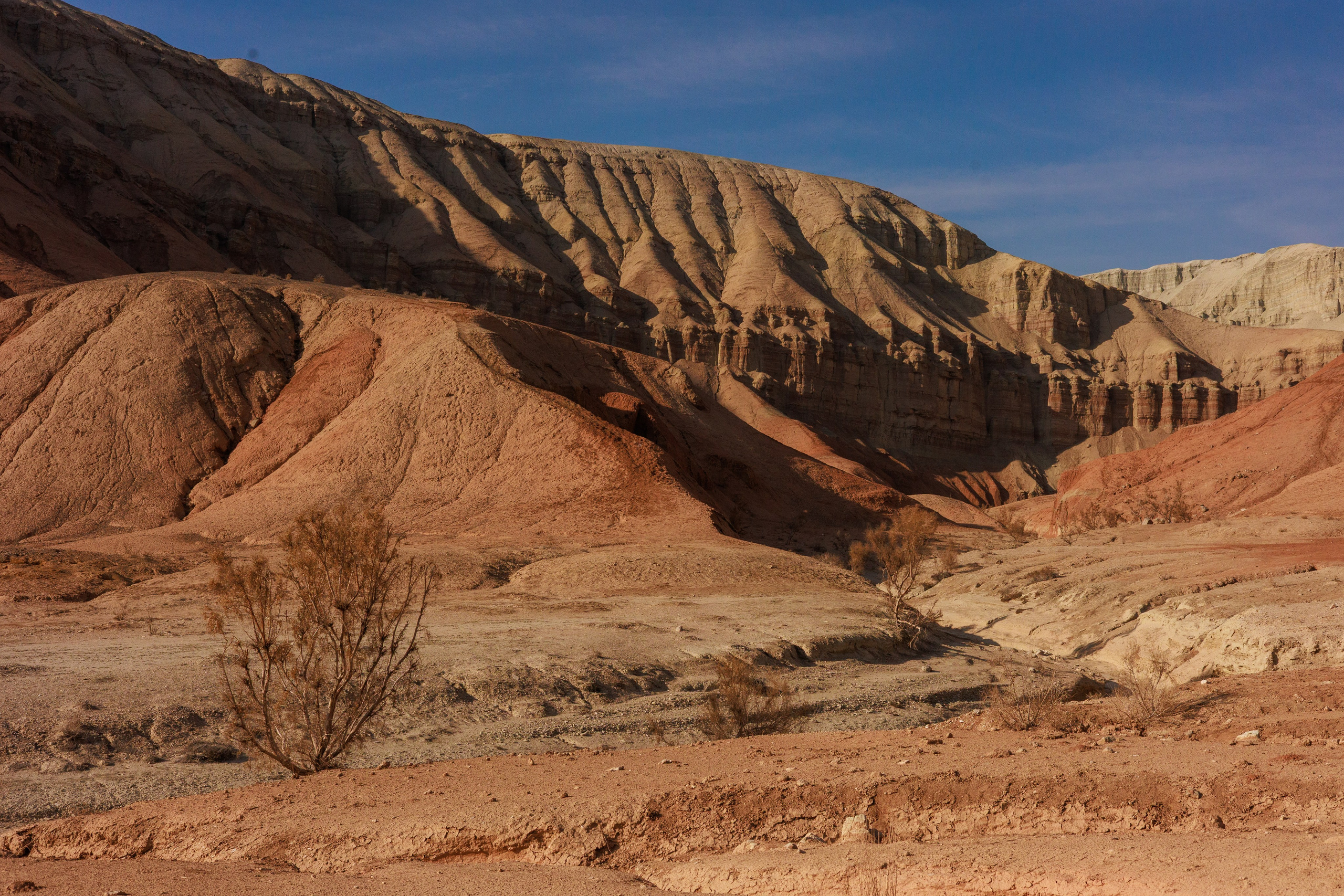 Алтын Эмель горы Актау. Фотограф Мальнева Юлия в Липецке, в Москве. Фотостудия MARU в Липецке