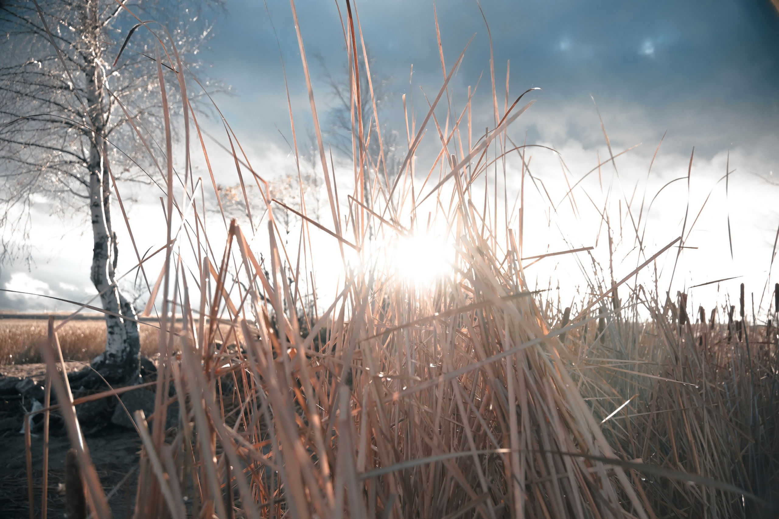 1-й Северный форт Кронштадт