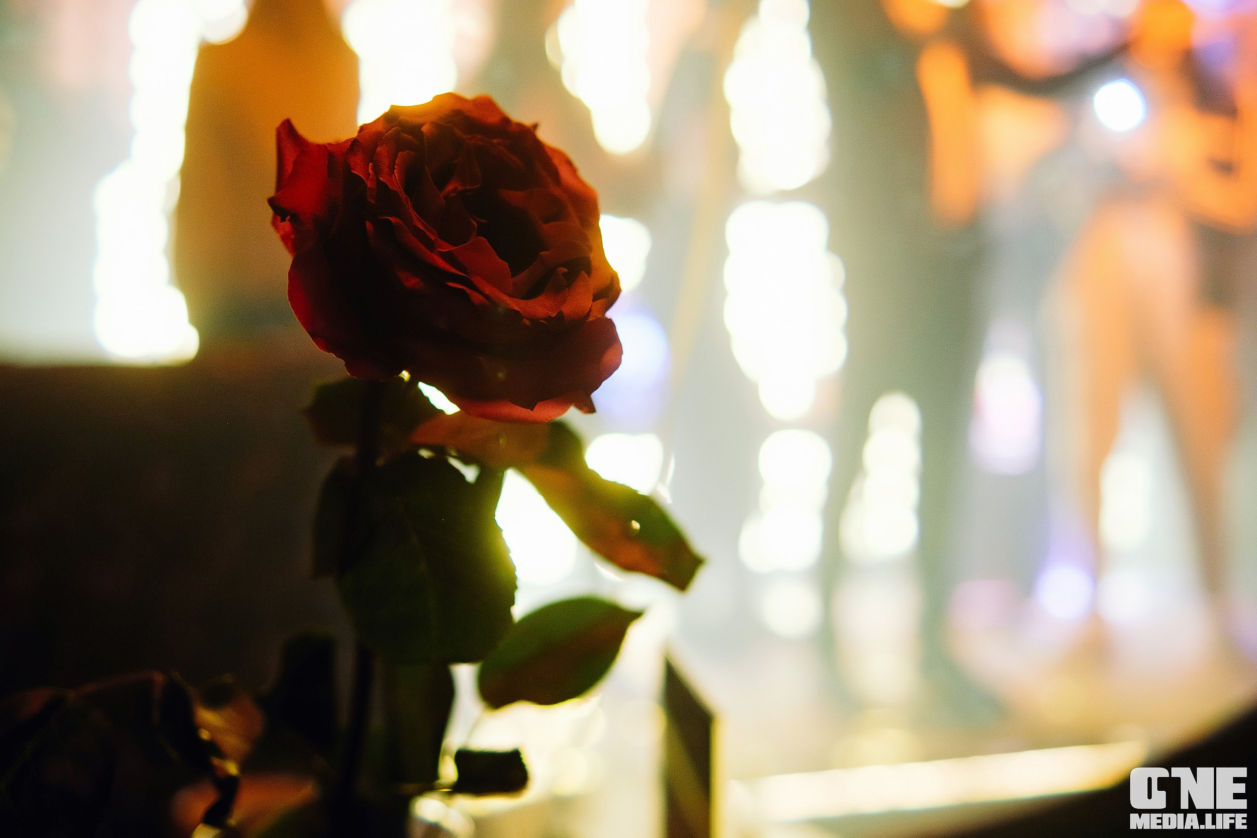 Фоторепортаж из караоке-клуба Эйфория. One Media Life: фоторепортажи, фотоотчеты с мероприятий и заведений