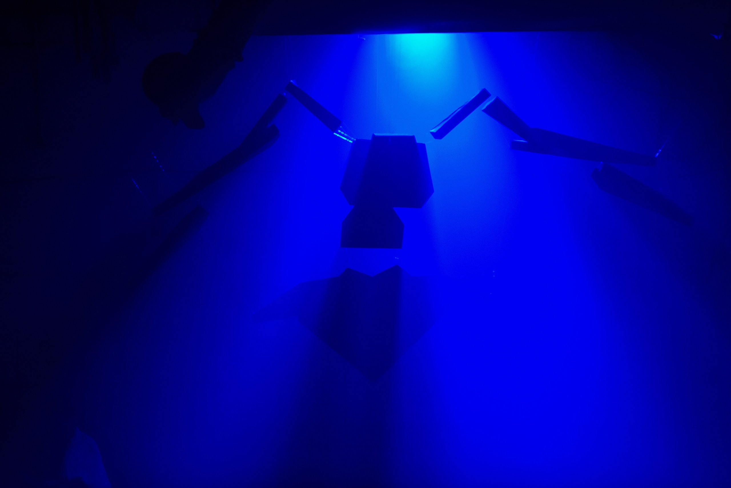 Disco. Главная