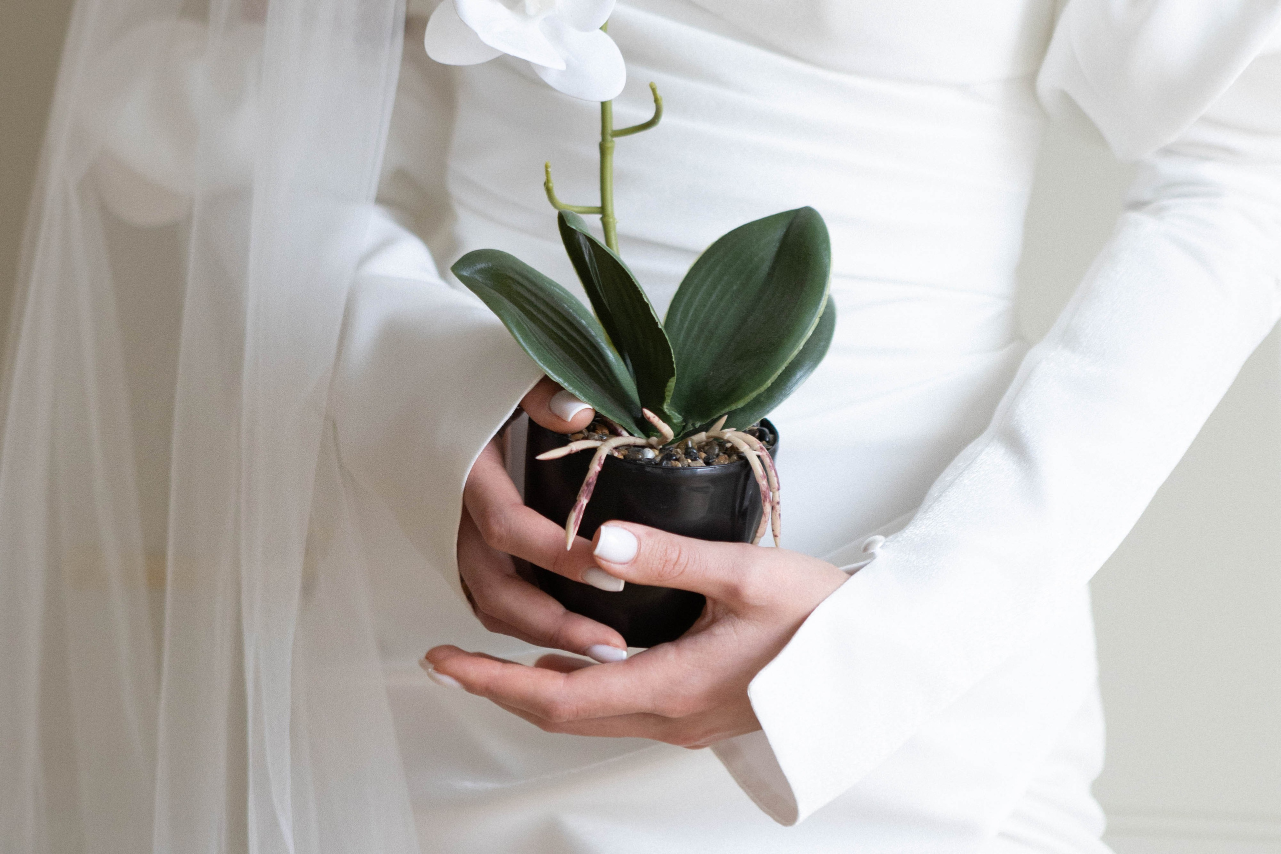 Даниил и Анастасия. Свадебный и love-story фотограф в Санкт-Петербурге Воронова Лолита