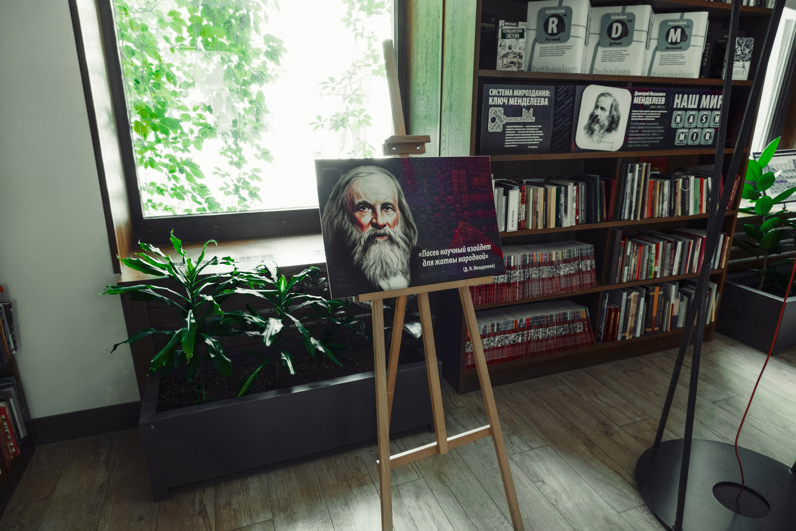 Центральная городская библиотека им. Крупской. Фотограф в Самаре — Брайко Света