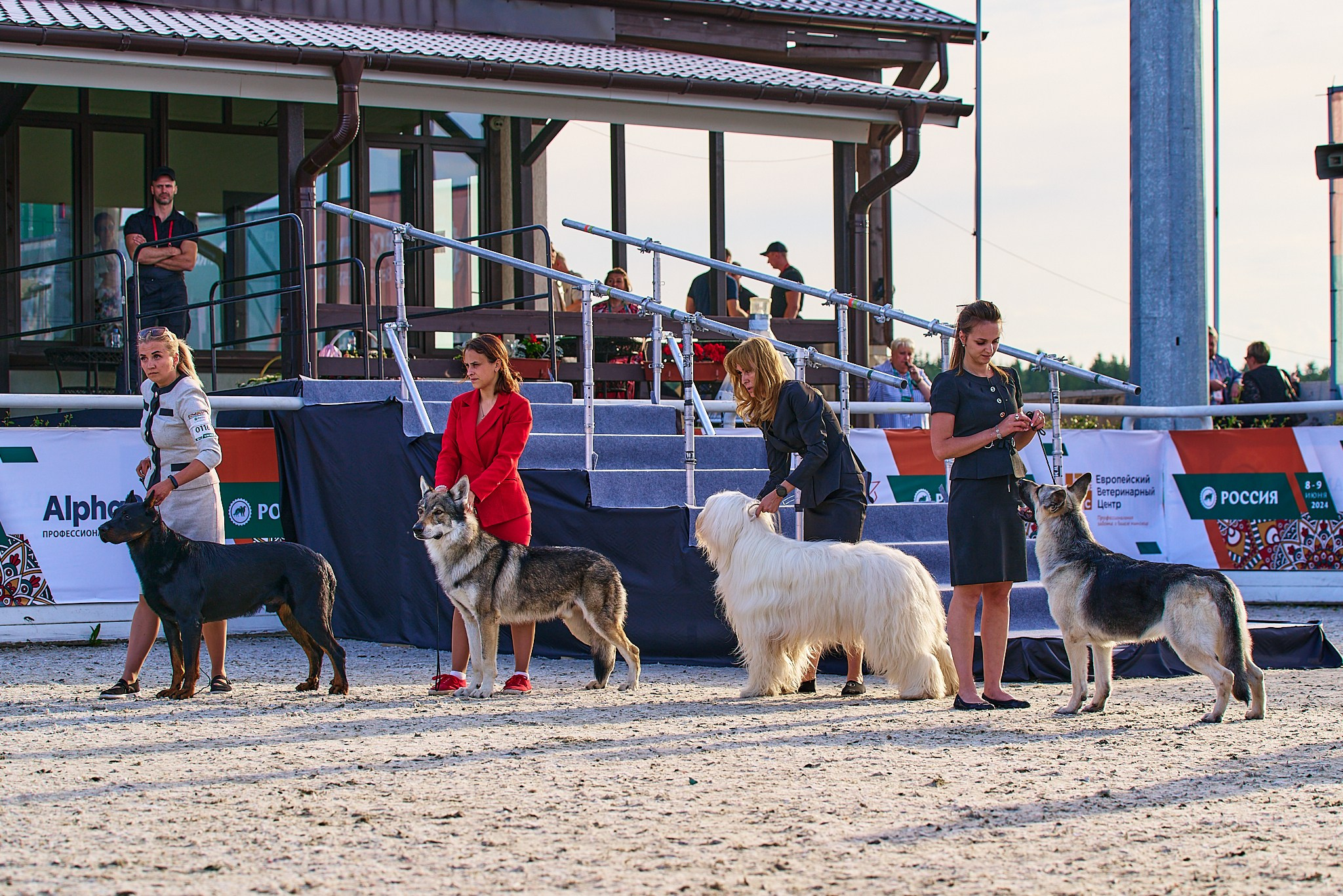 08.06.2024 «РОССИЯ. КУБОК РКФ 2024»