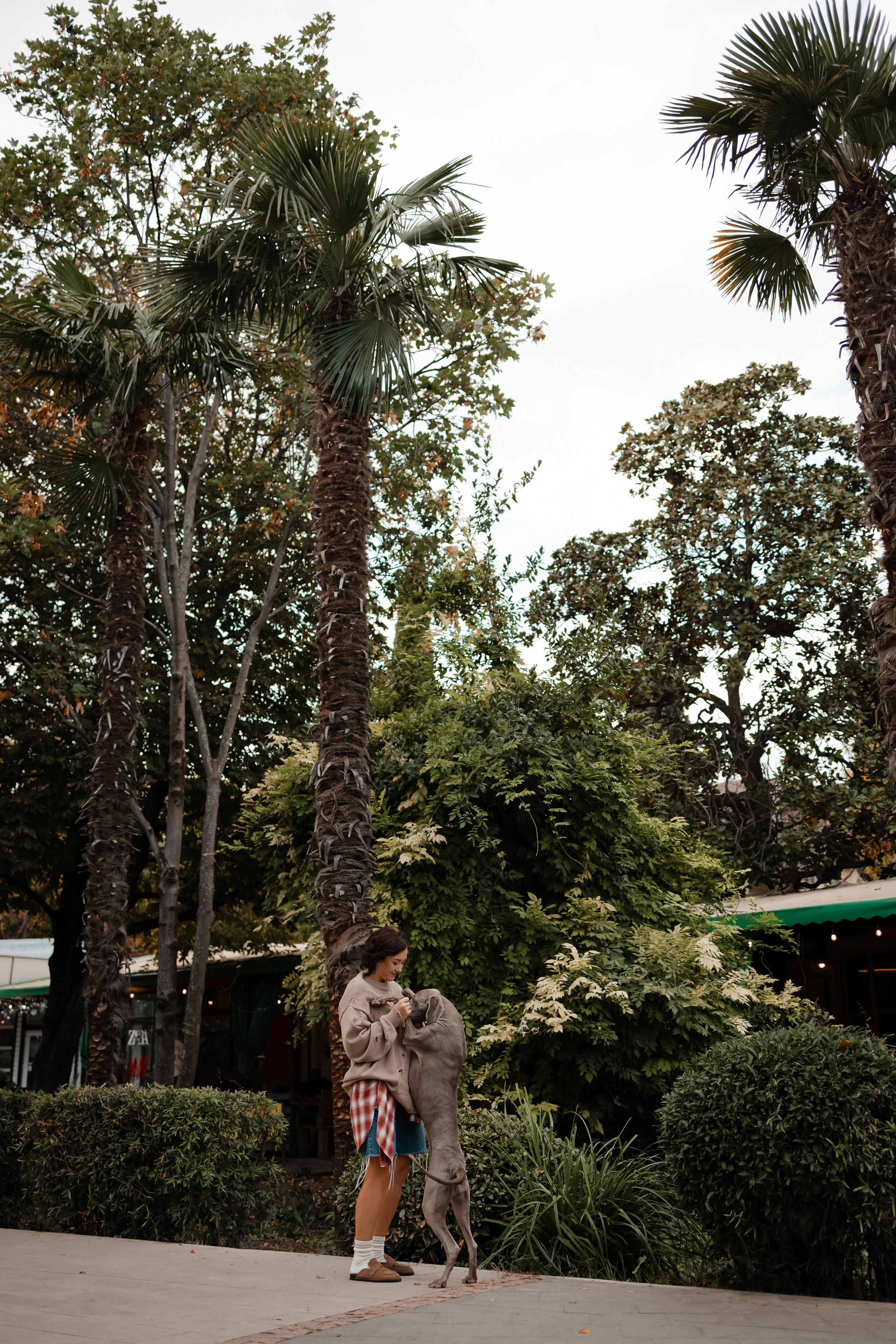 Фотосессия на набережной Ялты. Фотограф-анималист в Краснодаре Маша Мельникова