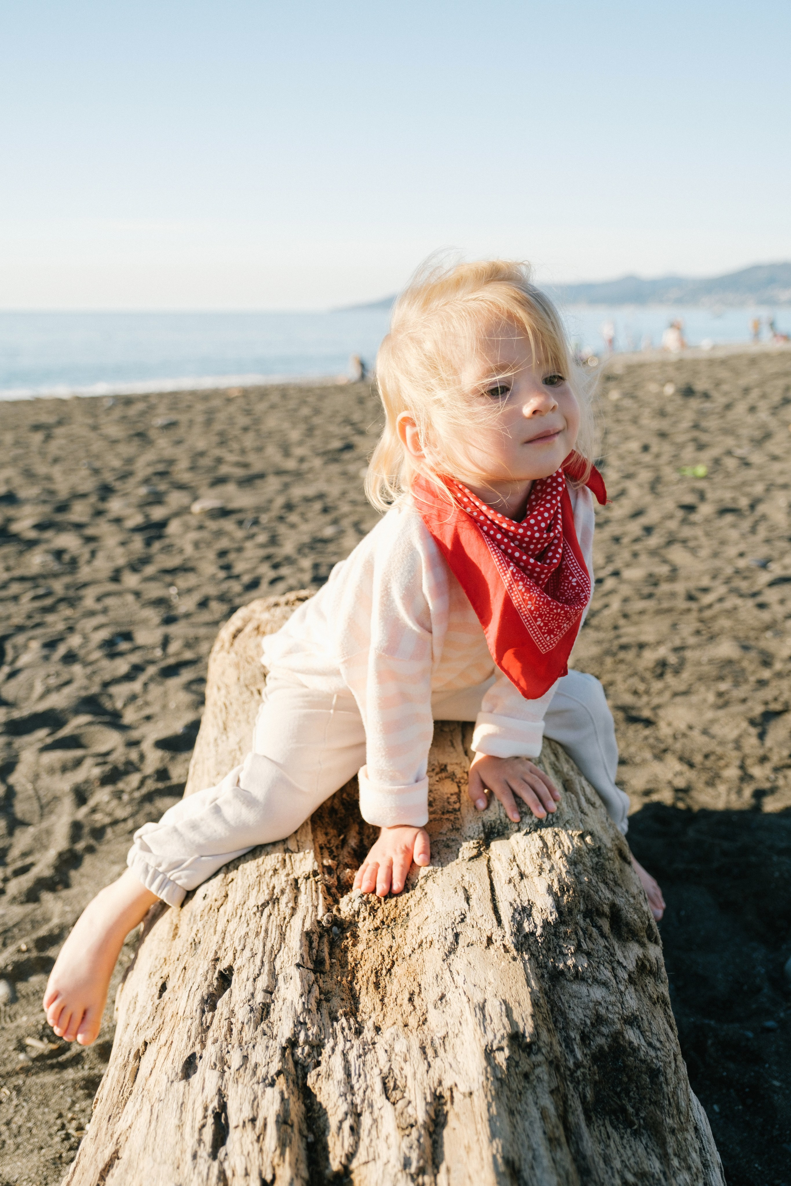 Воздушный змей. Свадебный Видеограф Фотограф в Сочи