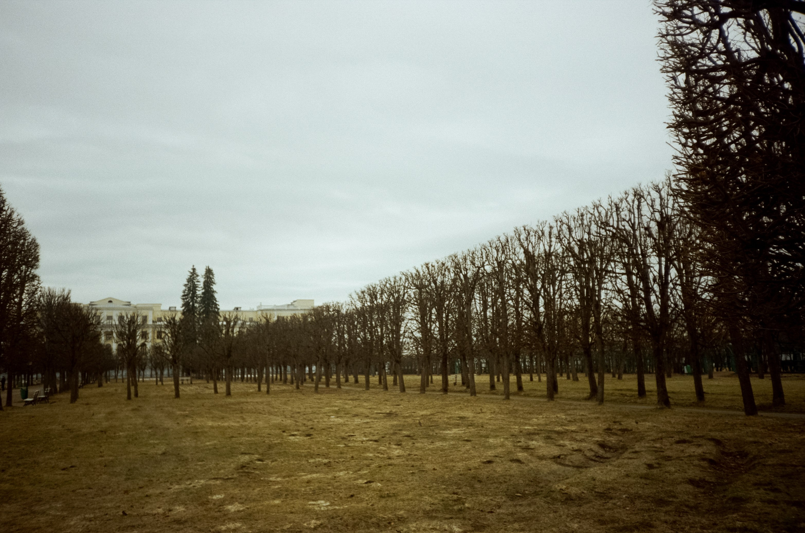 Архангельское. Пасмурный апрель. Фотограф-документалист Мария Осокина