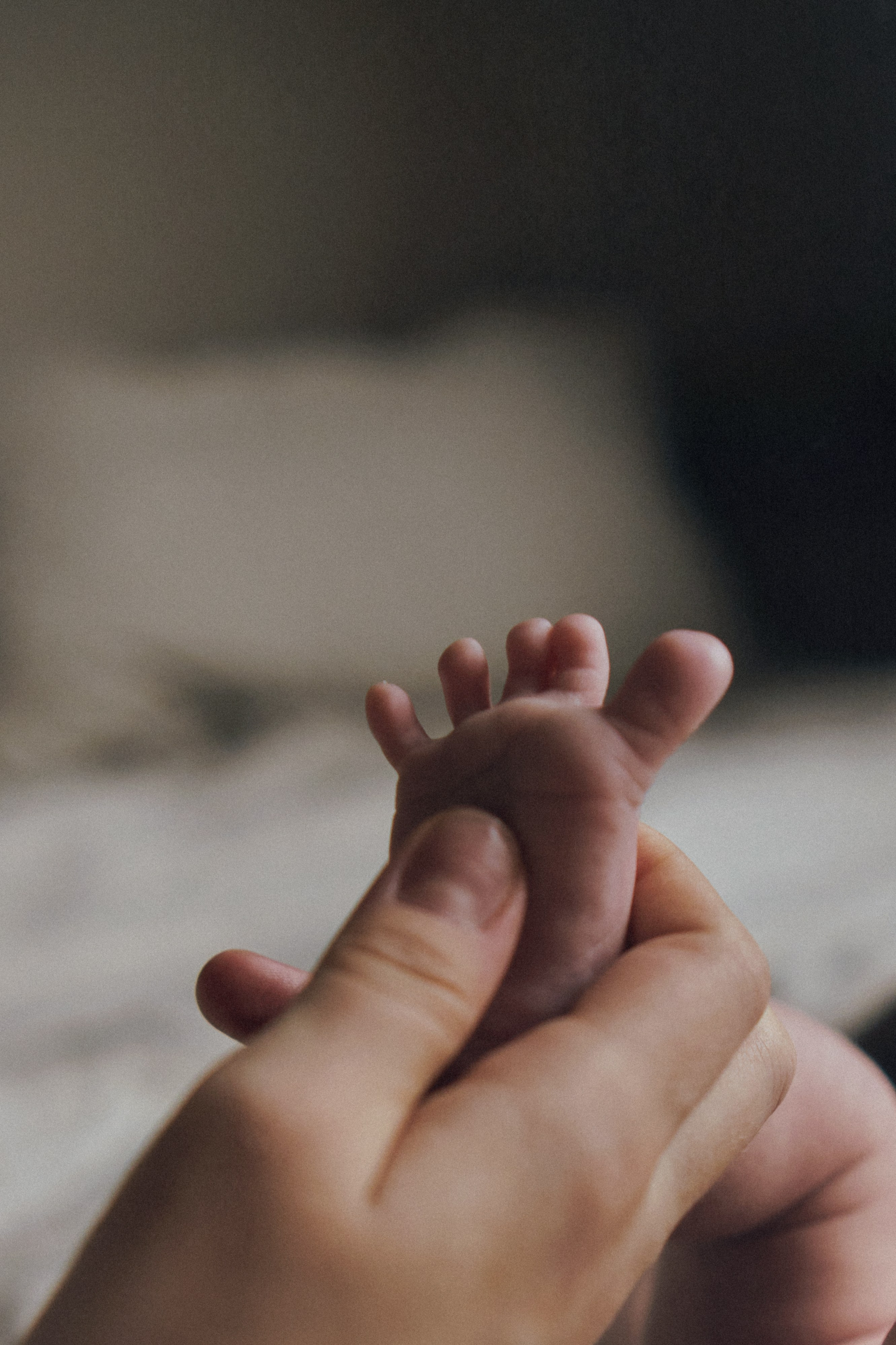 Семья. SHILOVA PHOTO. Шилова Екатерина. Фотограф. Москва