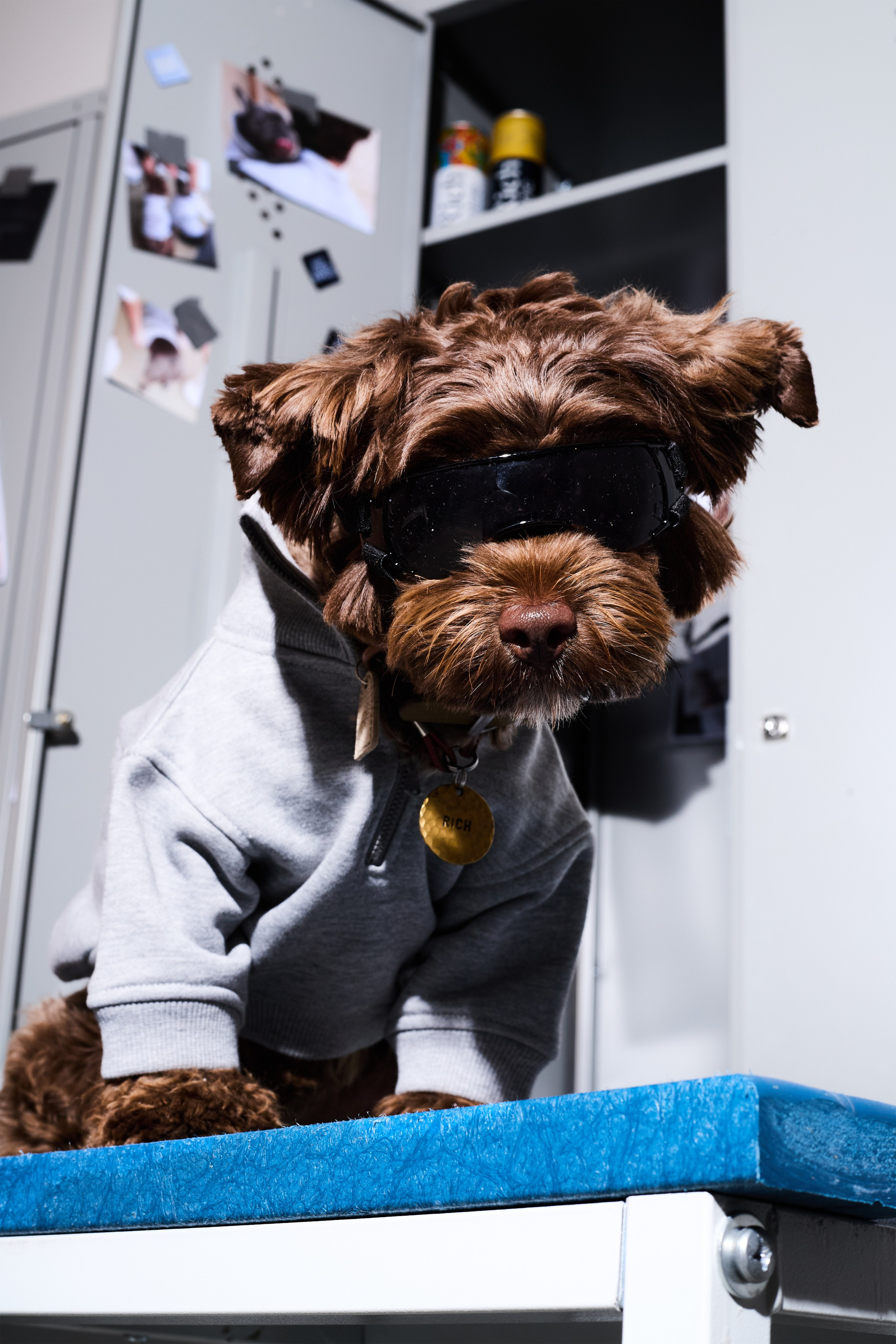 Big Lap Club. Фотограф|Москва-СПб| Анастасия Рябинина