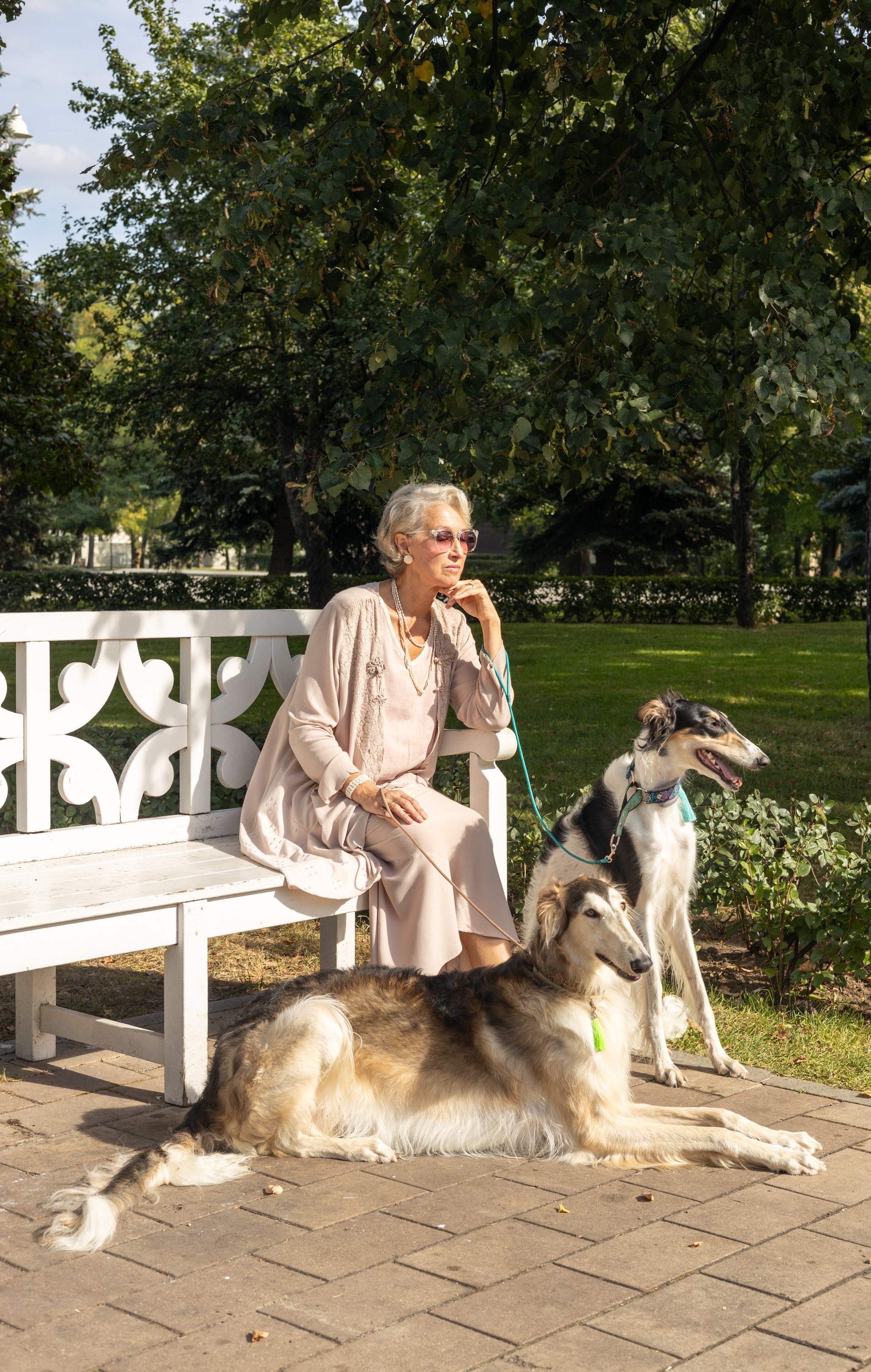 Художественная фотосессия с русскими борзыми. Предметный и портретный фотограф Виктория Бородкова | Москва, Пушкино