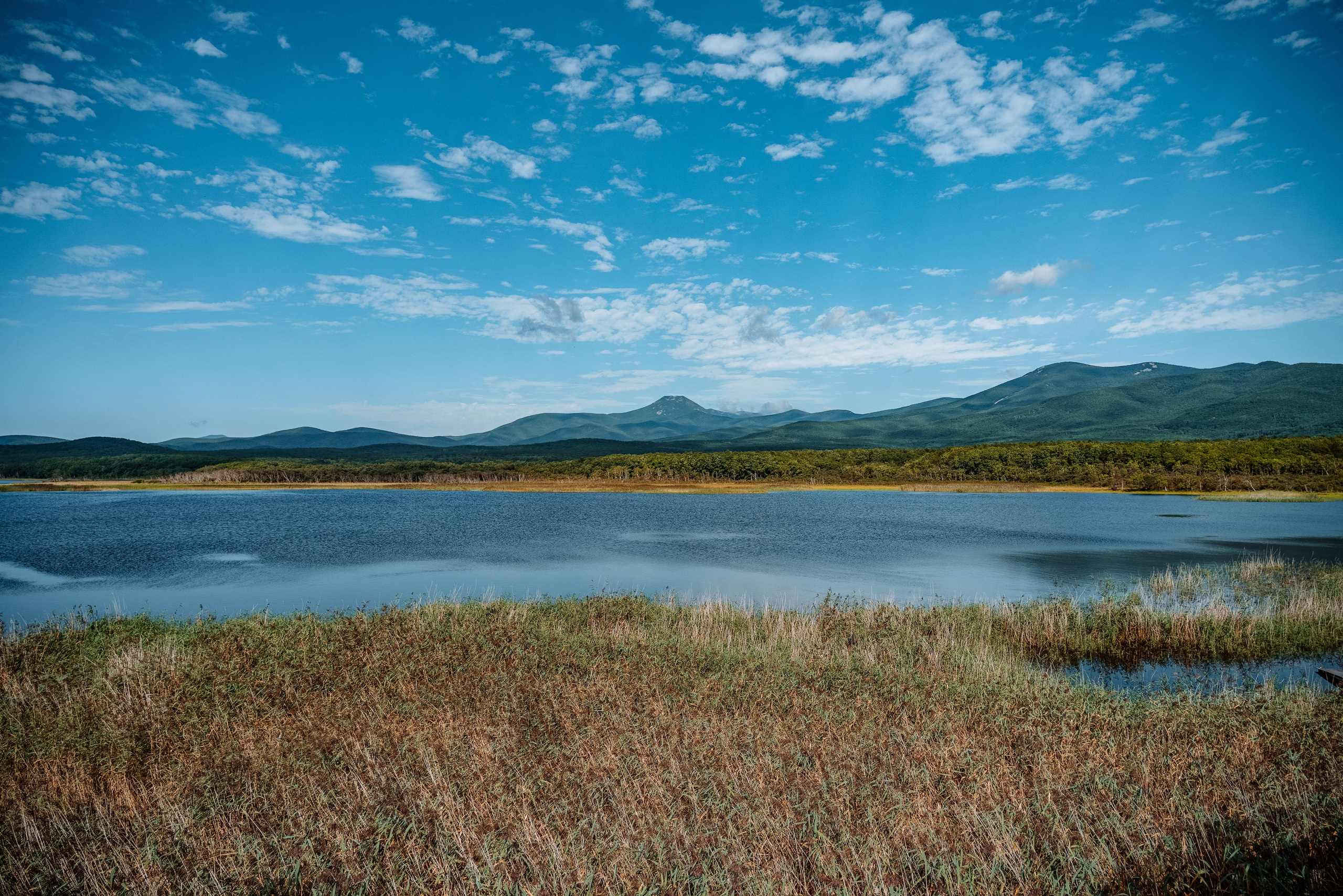 Сихотэ-Алинский заповедник, Приморский край. Репортажный фотограф в Крыму Ксения Гасица