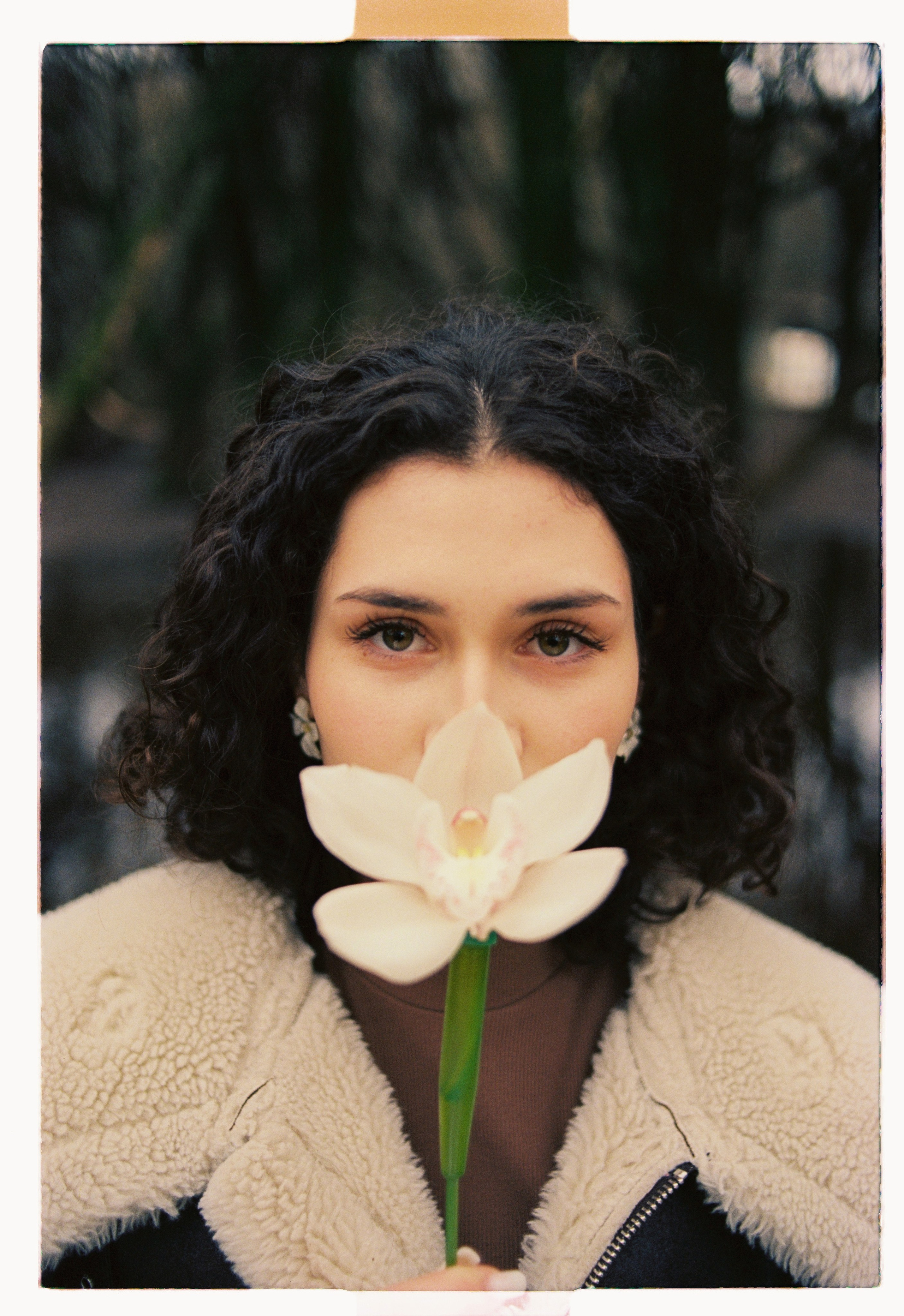 Film photos. VLAD TKACHISHIN