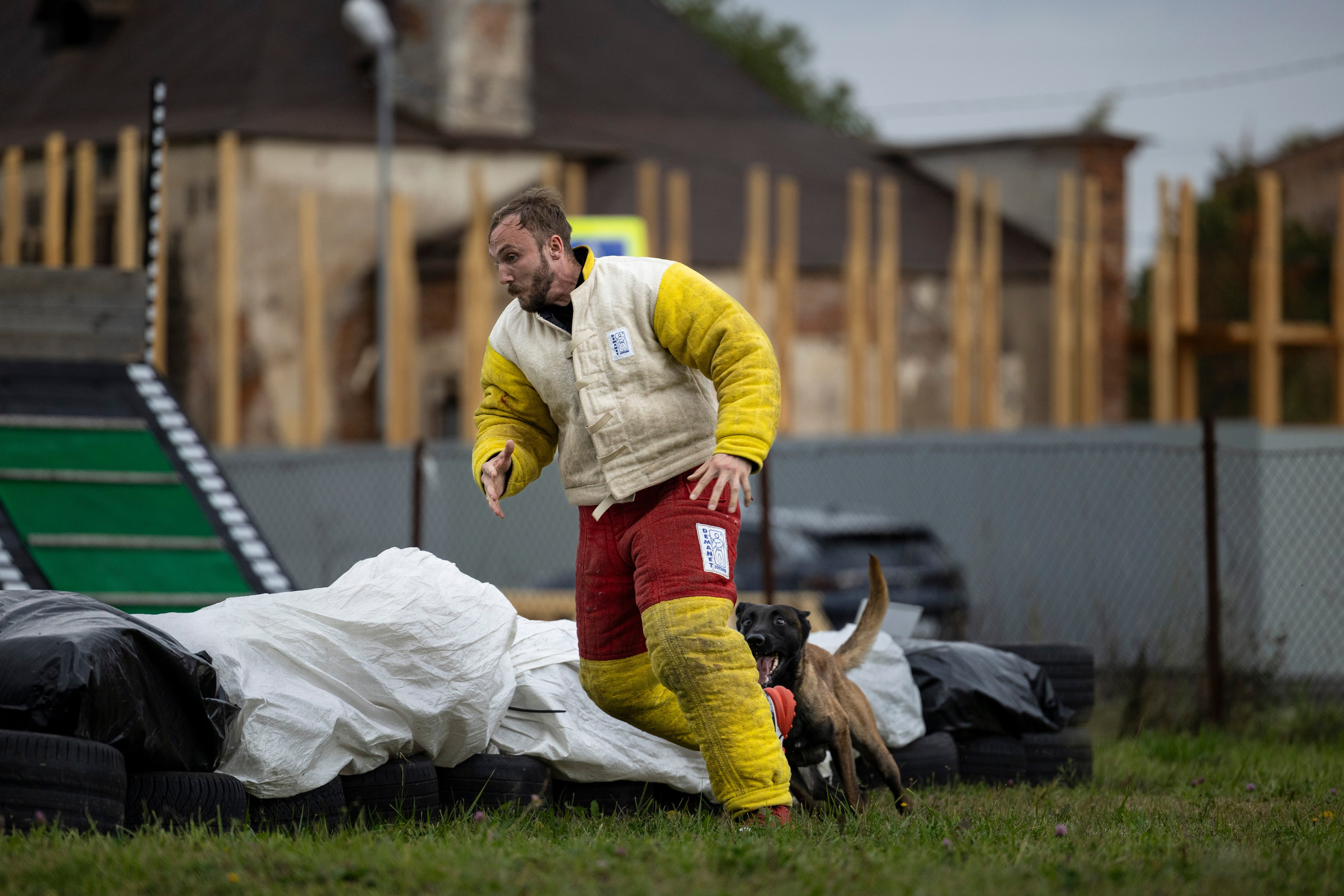 Испытания по Мондьорингу г. Пушкин. Фотограф-анималист Анна Маринич